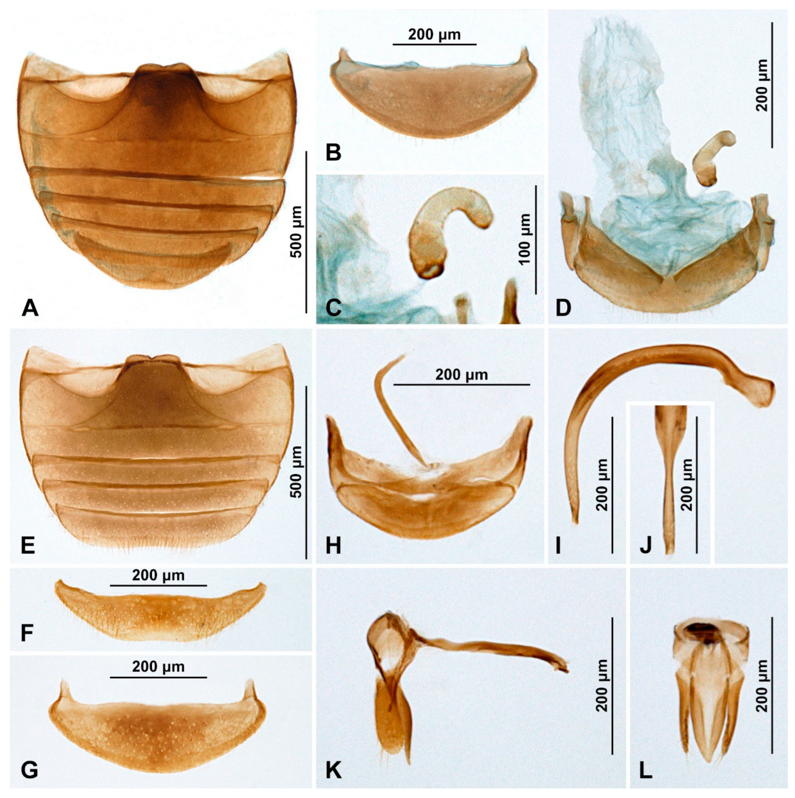 Insects 15 00596 g004