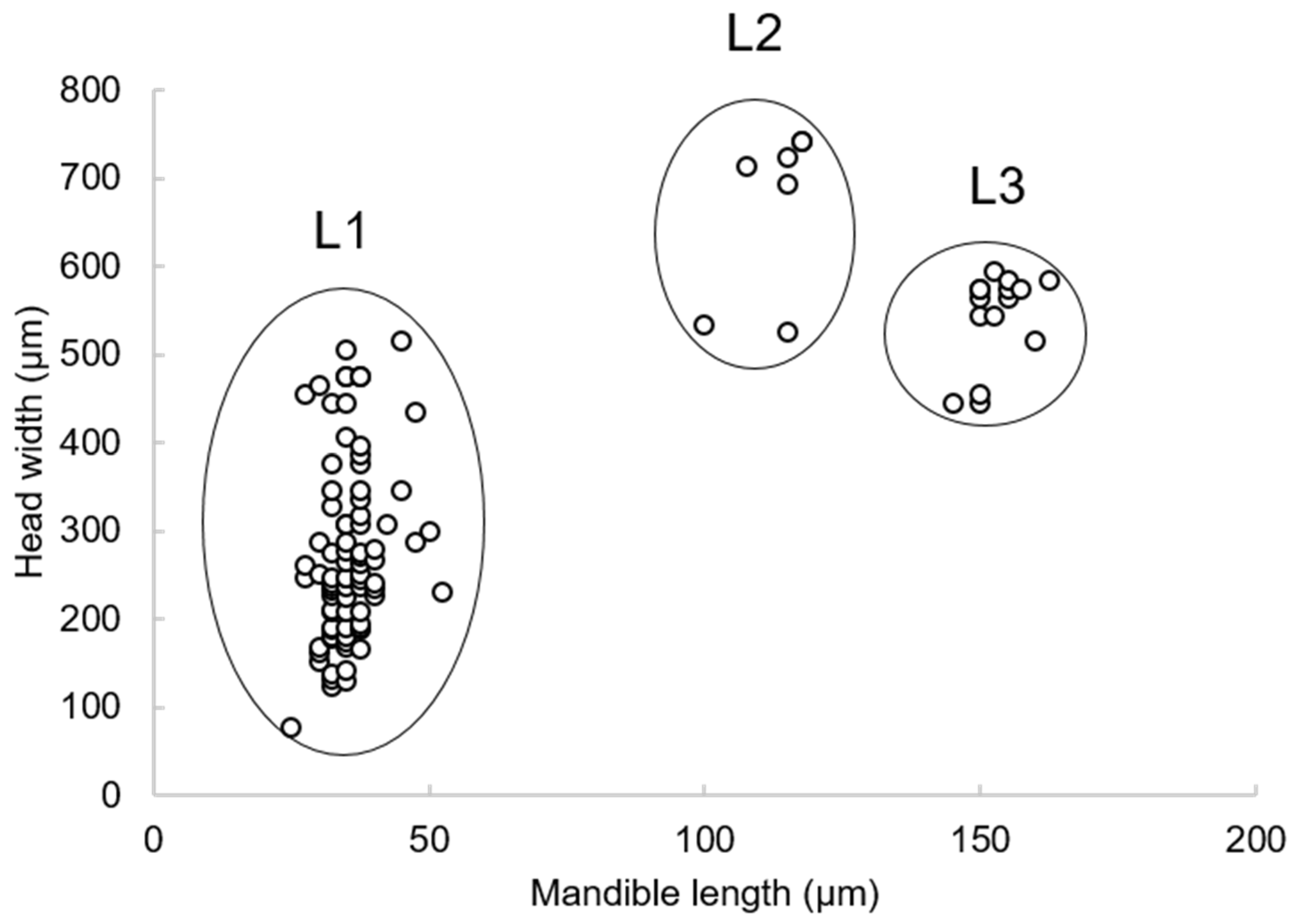 Insects 15 00604 g003