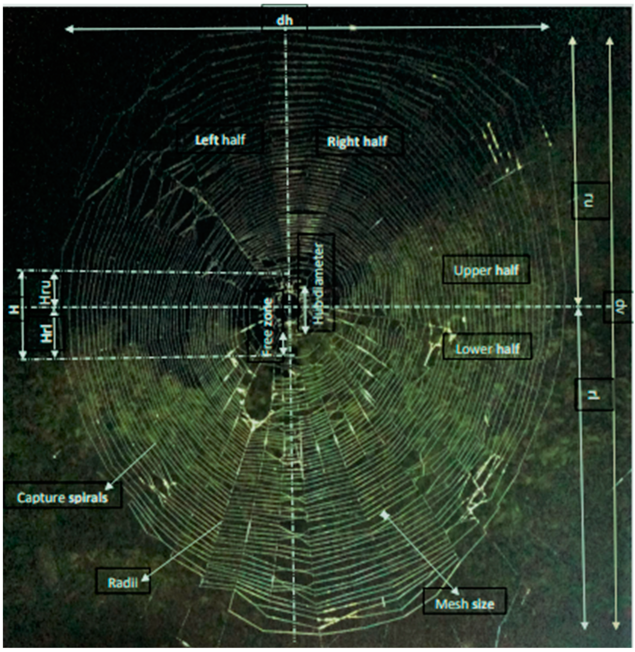 Insects 15 00609 g003