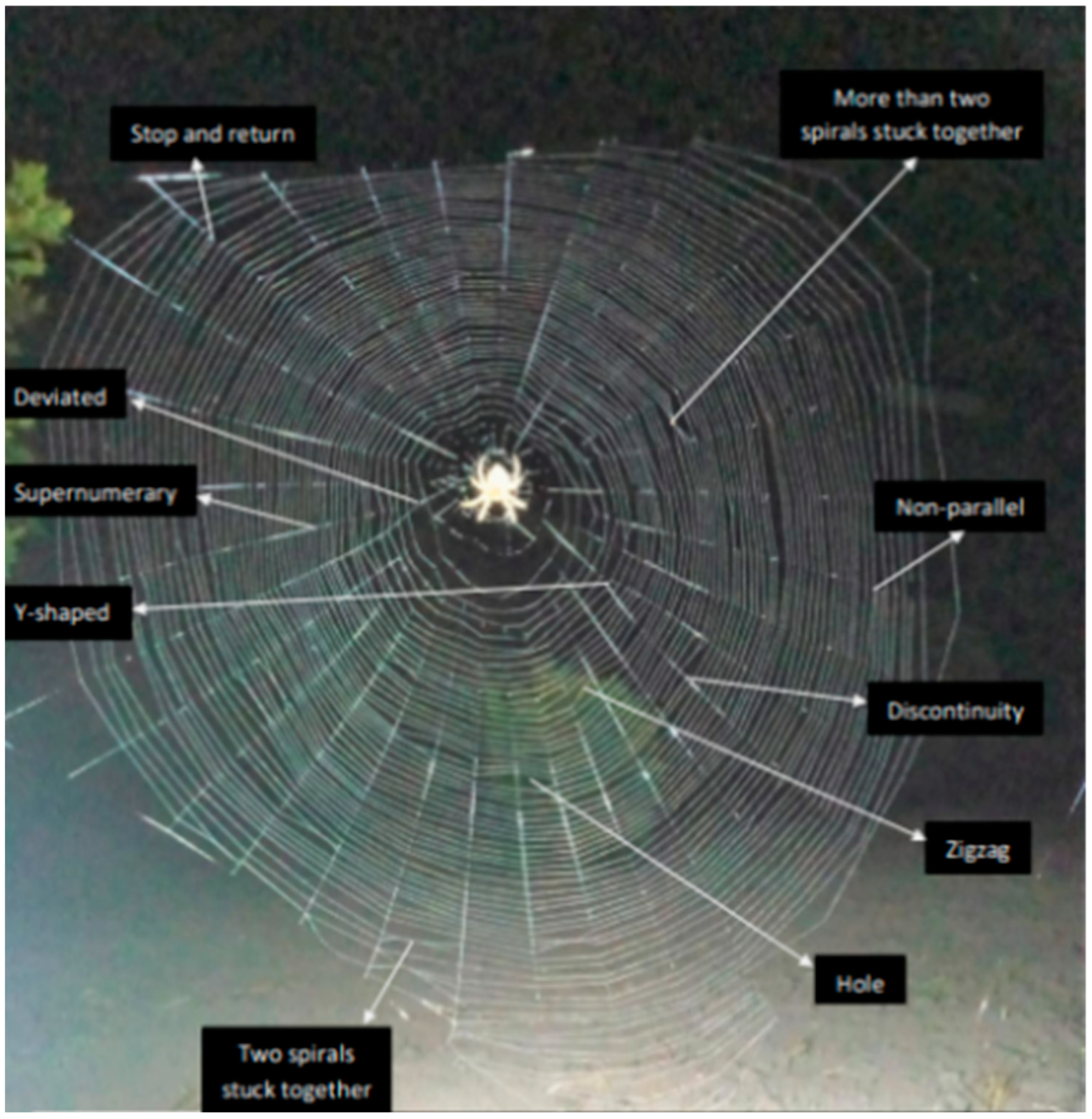 Insects 15 00609 g004