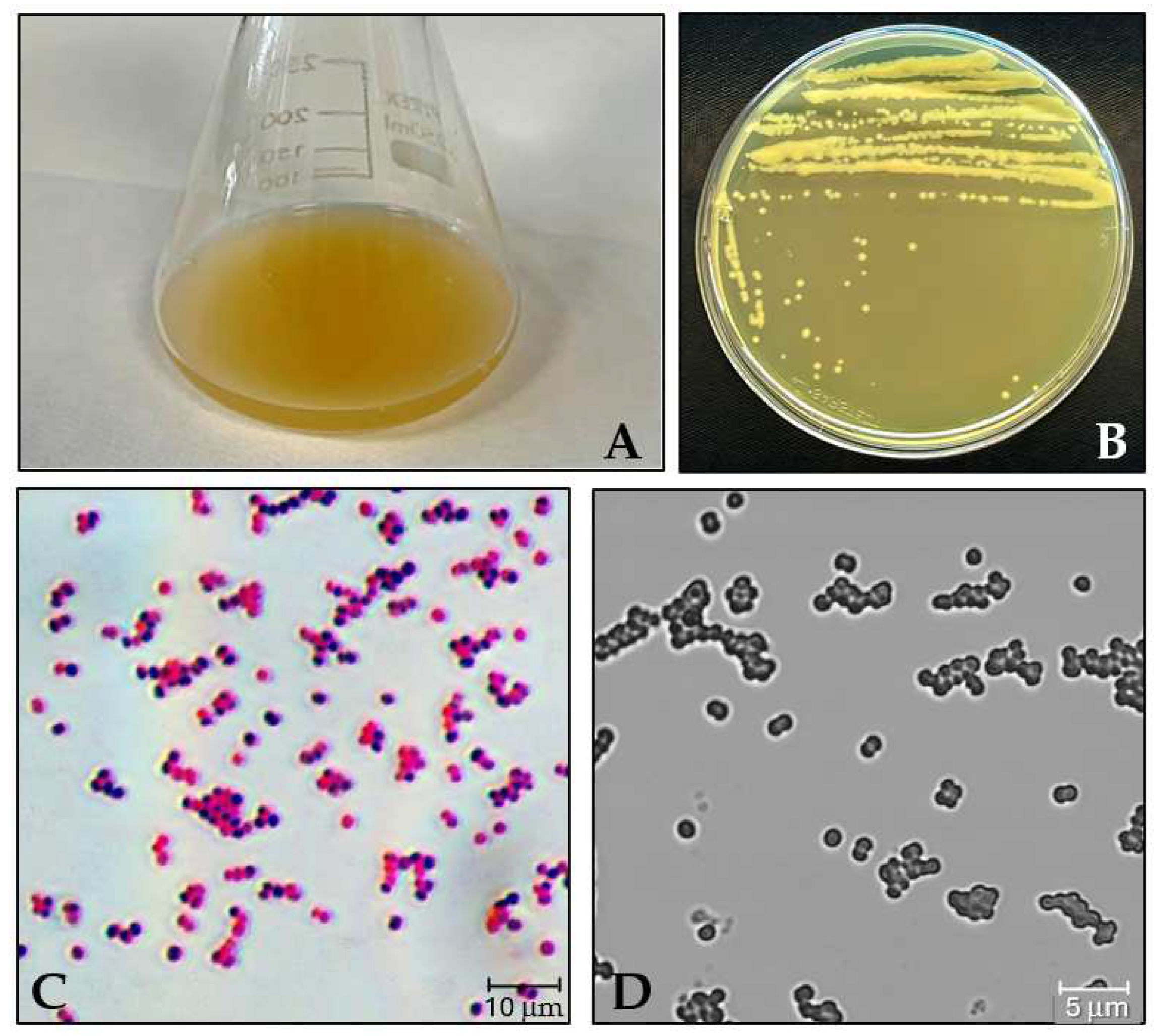 Insects 15 00618 g001