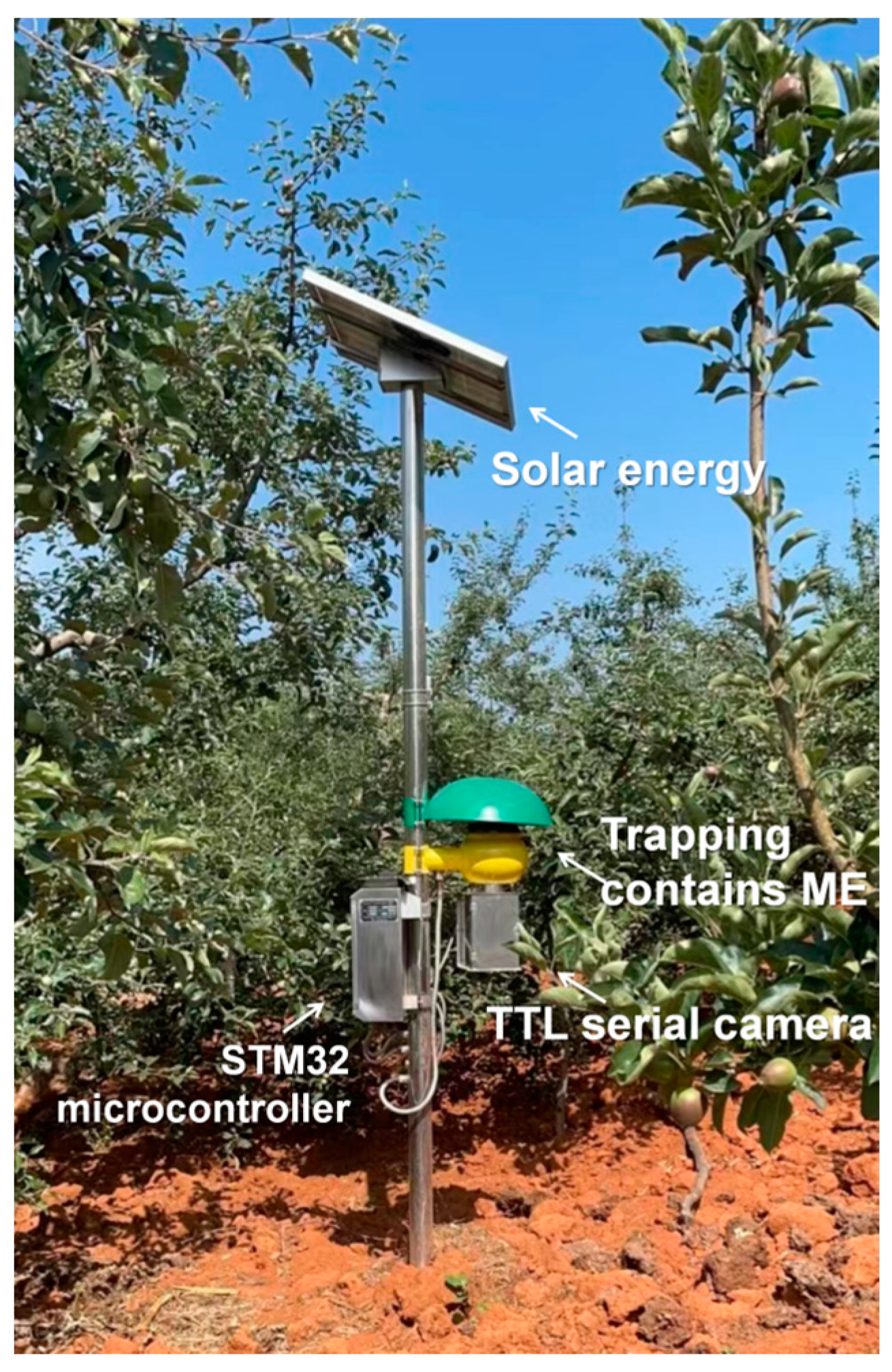 Insects 15 00621 g002