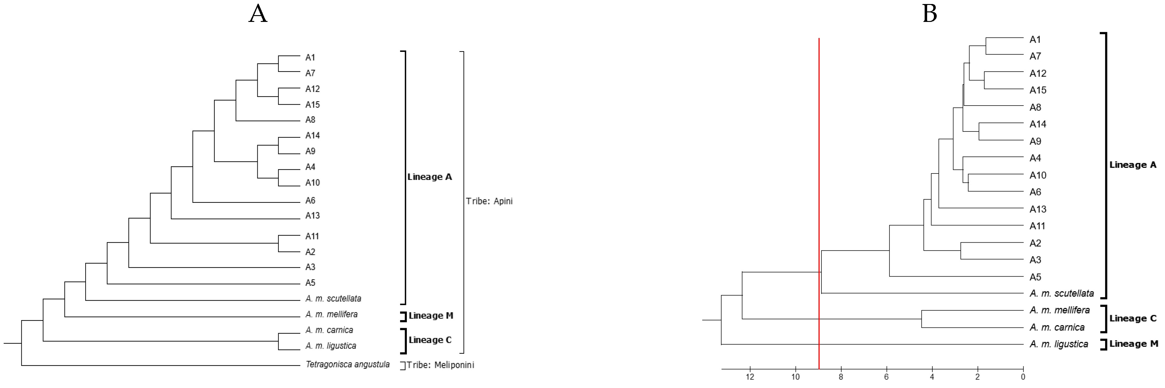 Insects 15 00628 g004