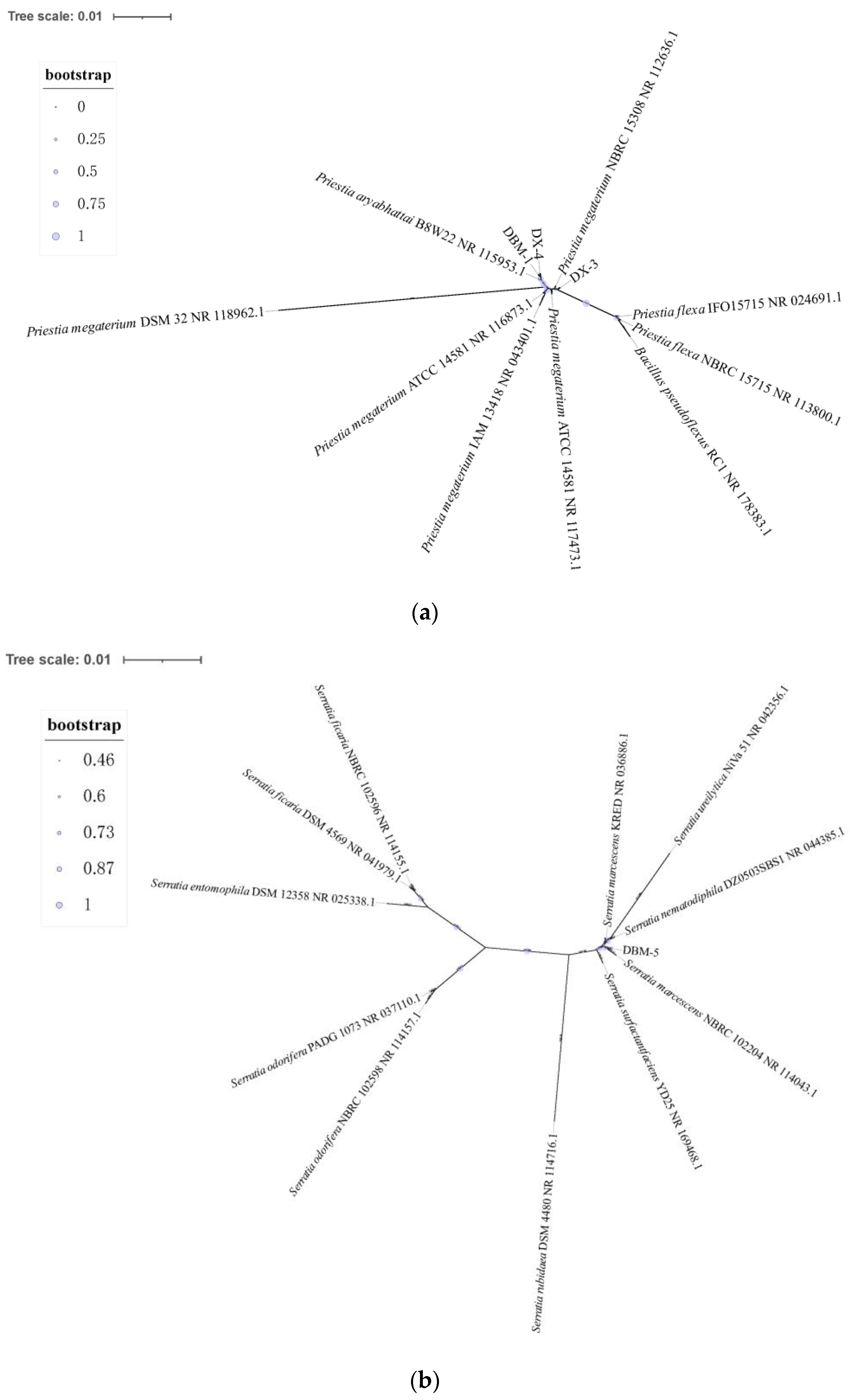 Insects 15 00629 g002