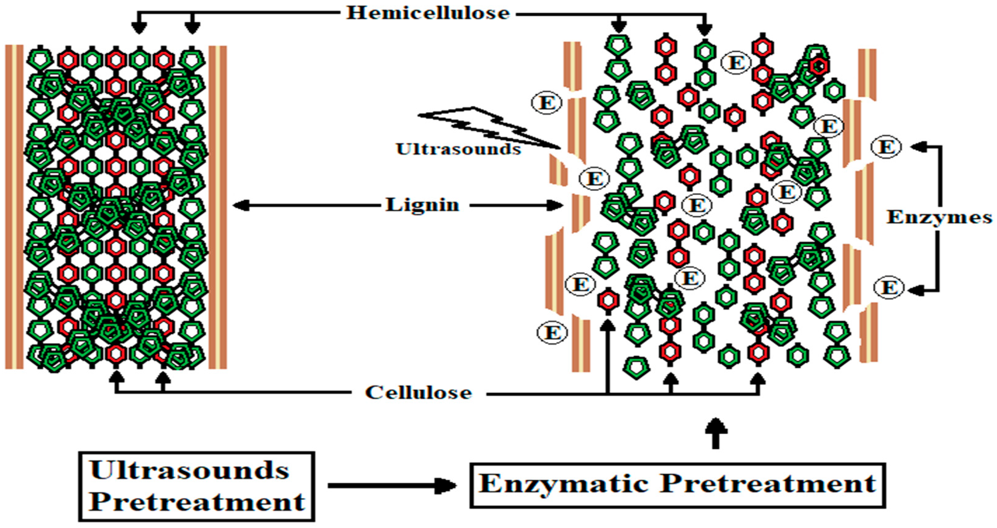 Insects 15 00631 g002 Insects 15 00631 g002