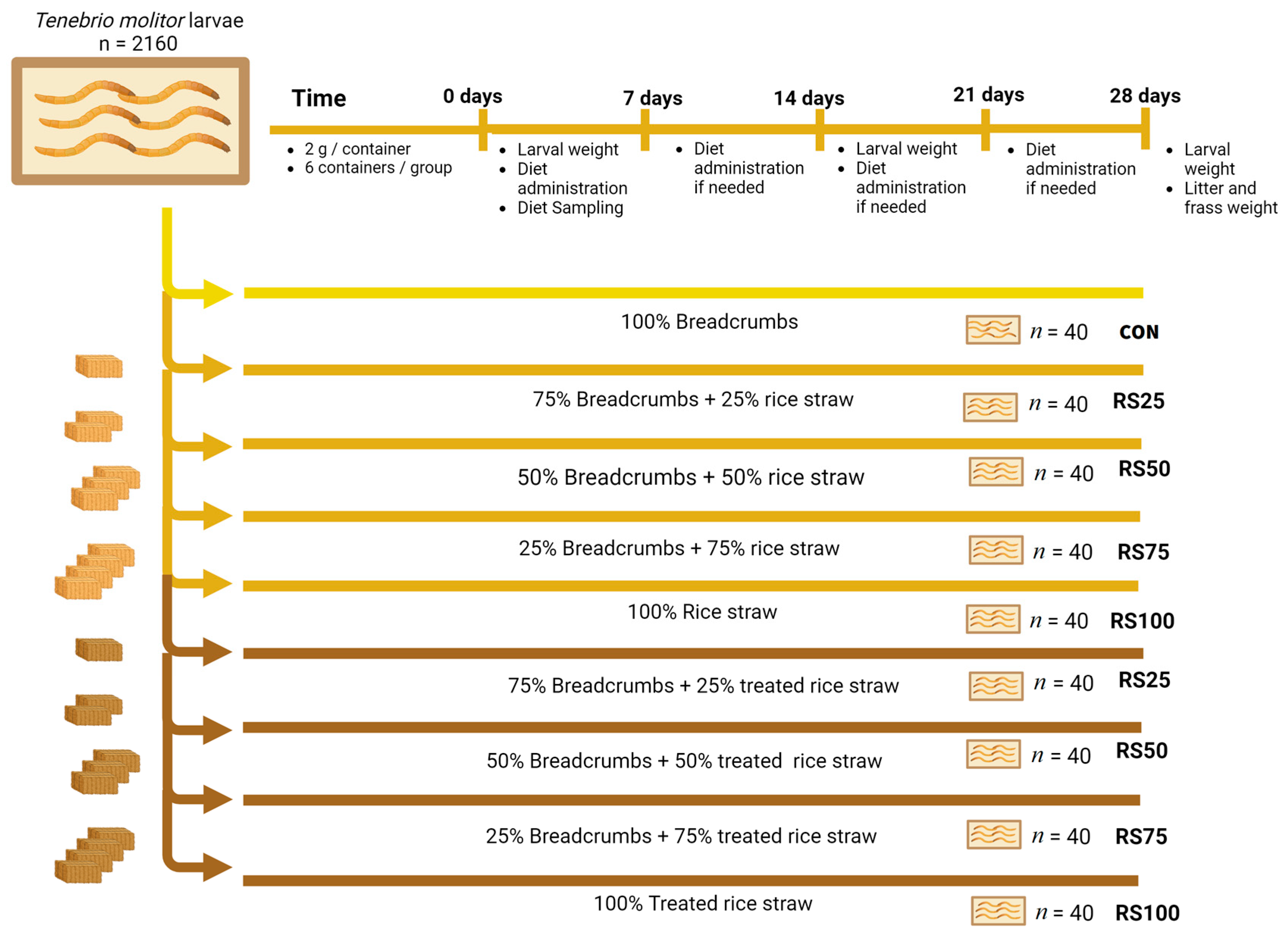 Insects 15 00631 g004 Insects 15 00631 g004