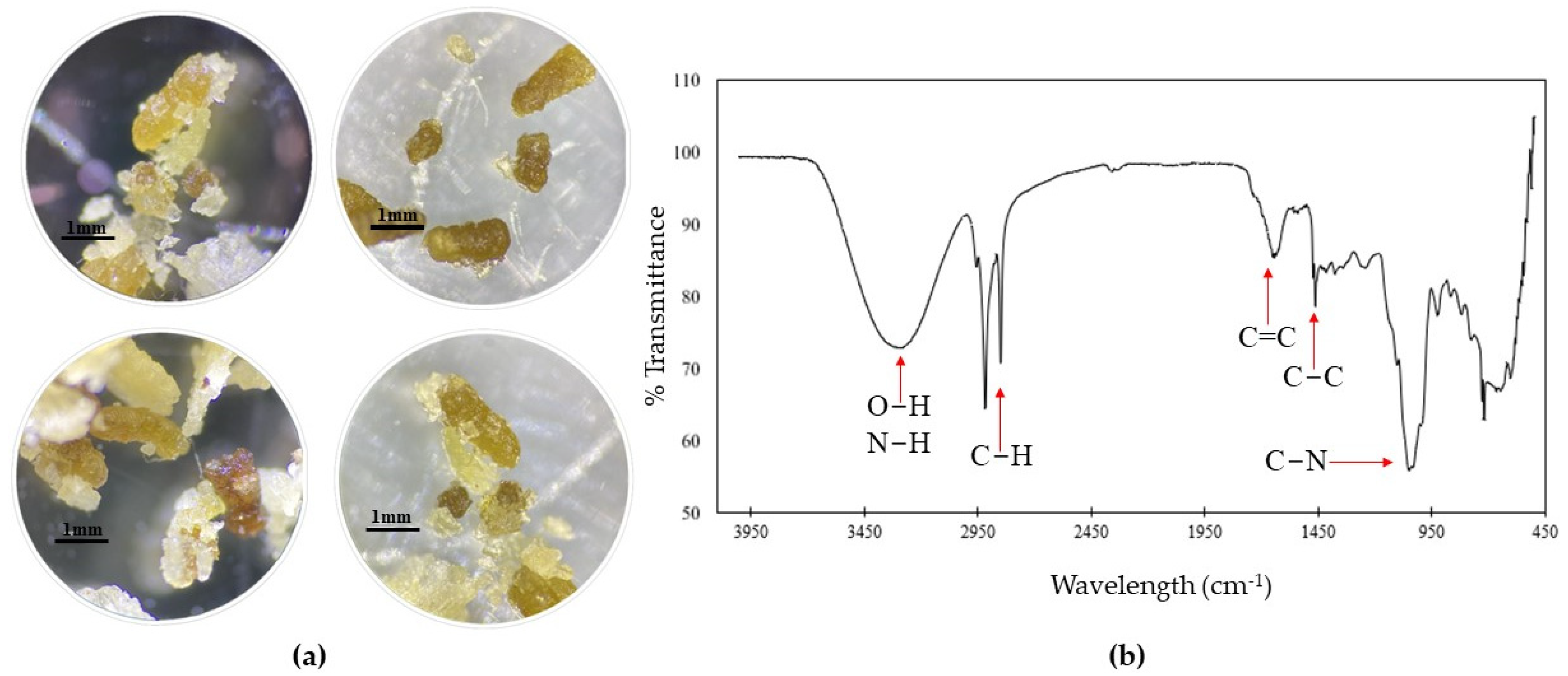 Insects 15 00645 g005 Insects 15 00645 g005