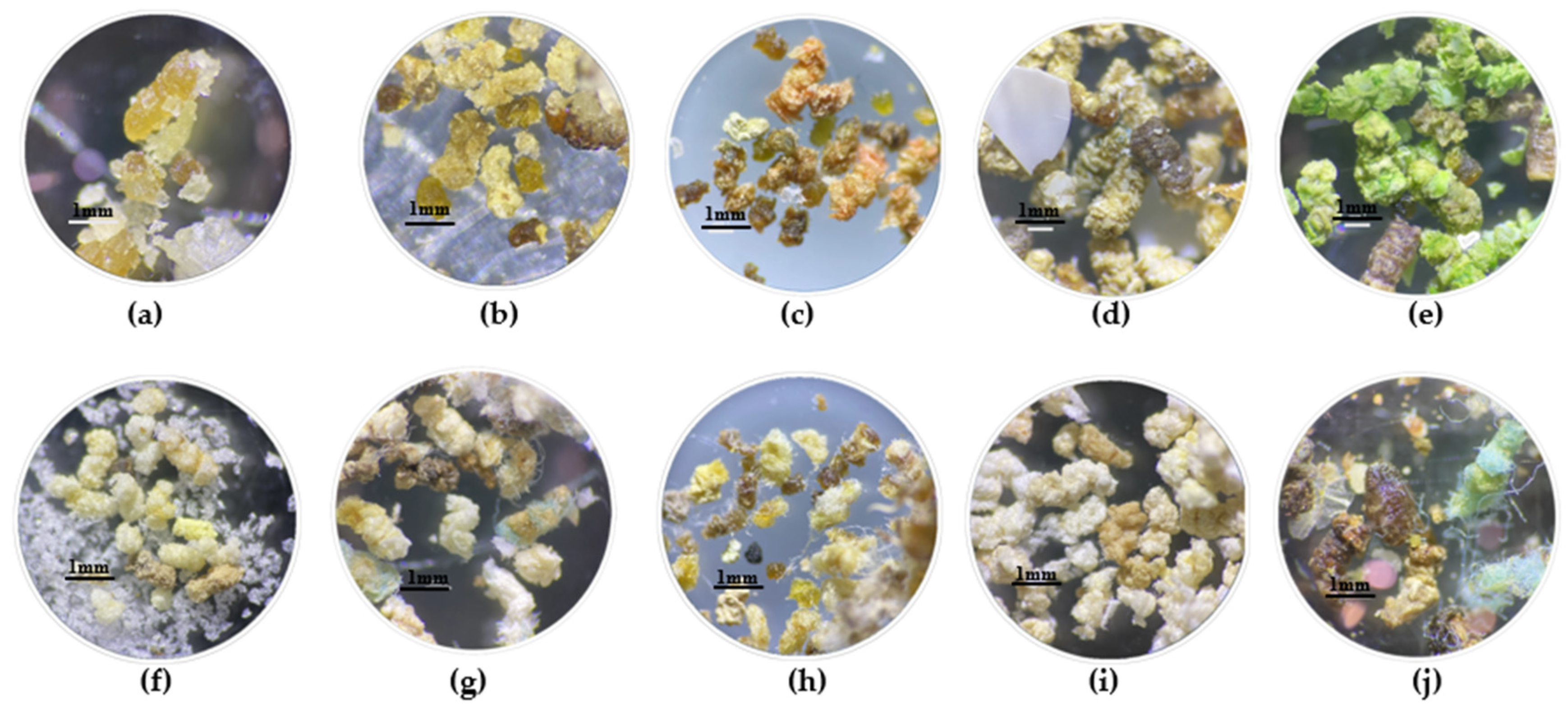 Insects 15 00645 g006 Insects 15 00645 g006