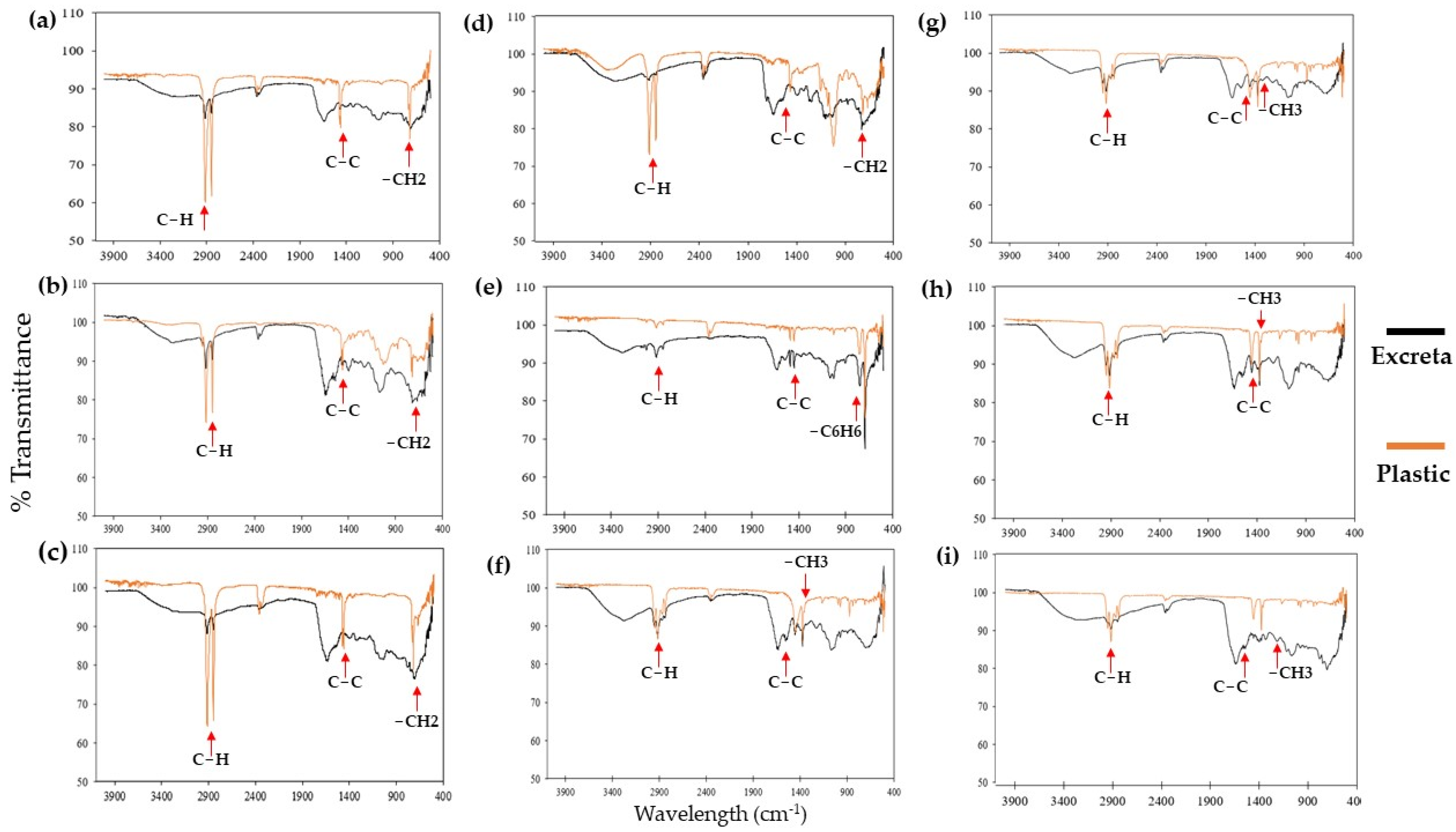 Insects 15 00645 g007 Insects 15 00645 g007