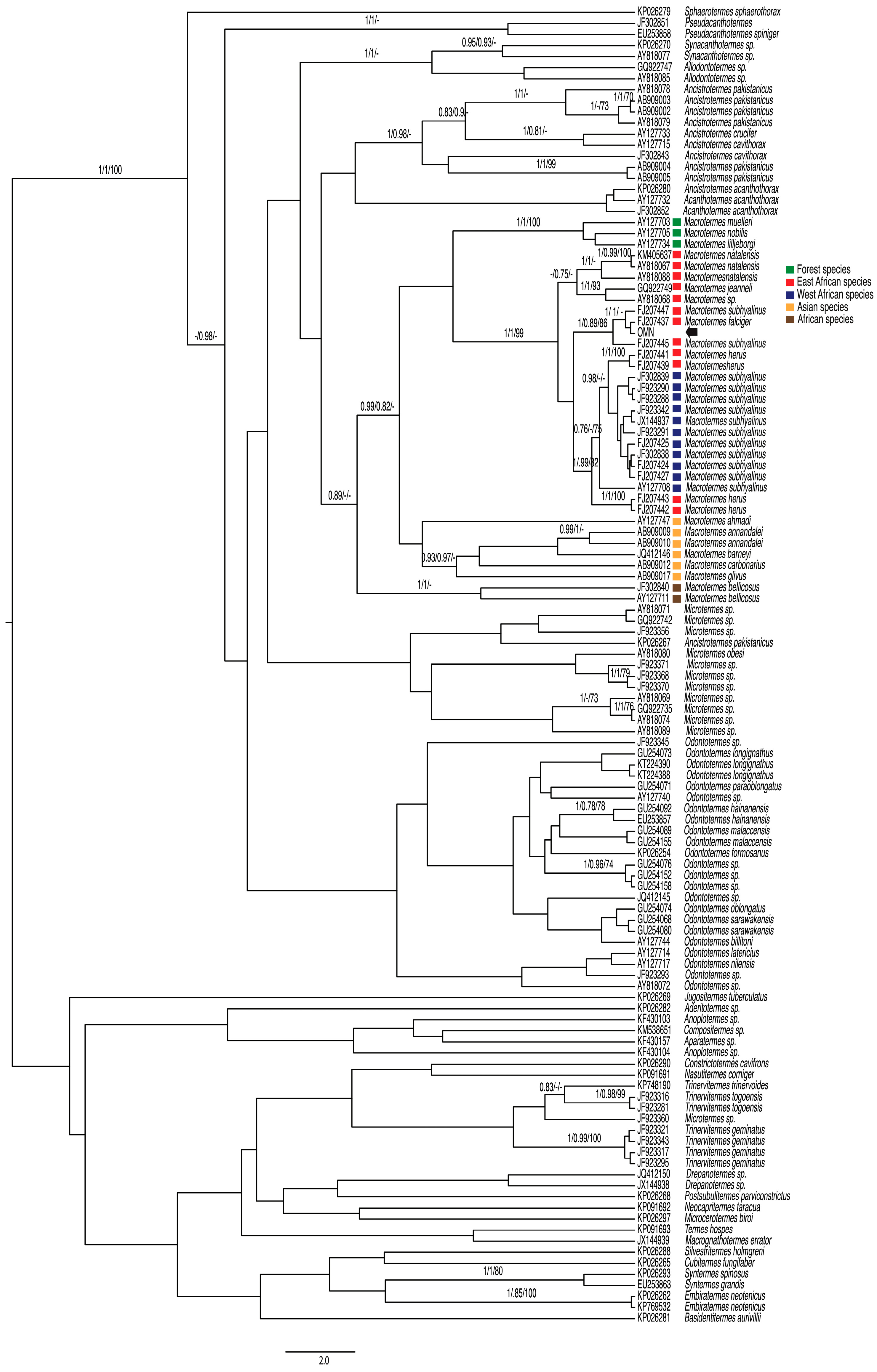 Insects 15 00648 g002