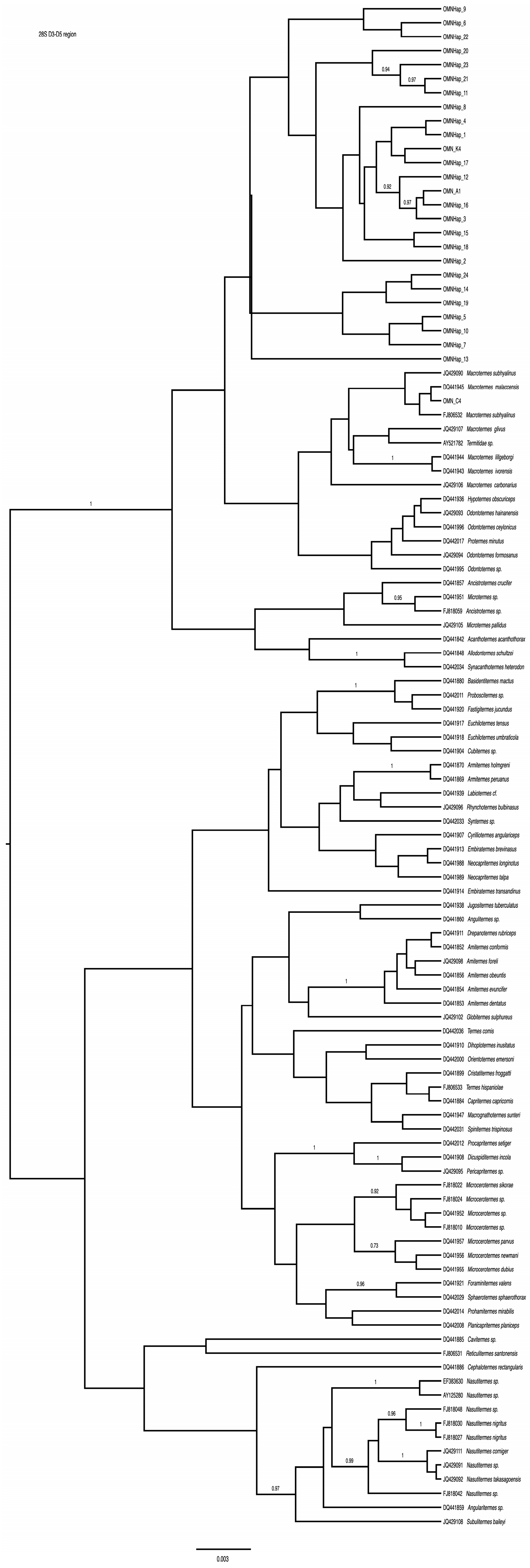 Insects 15 00648 g004