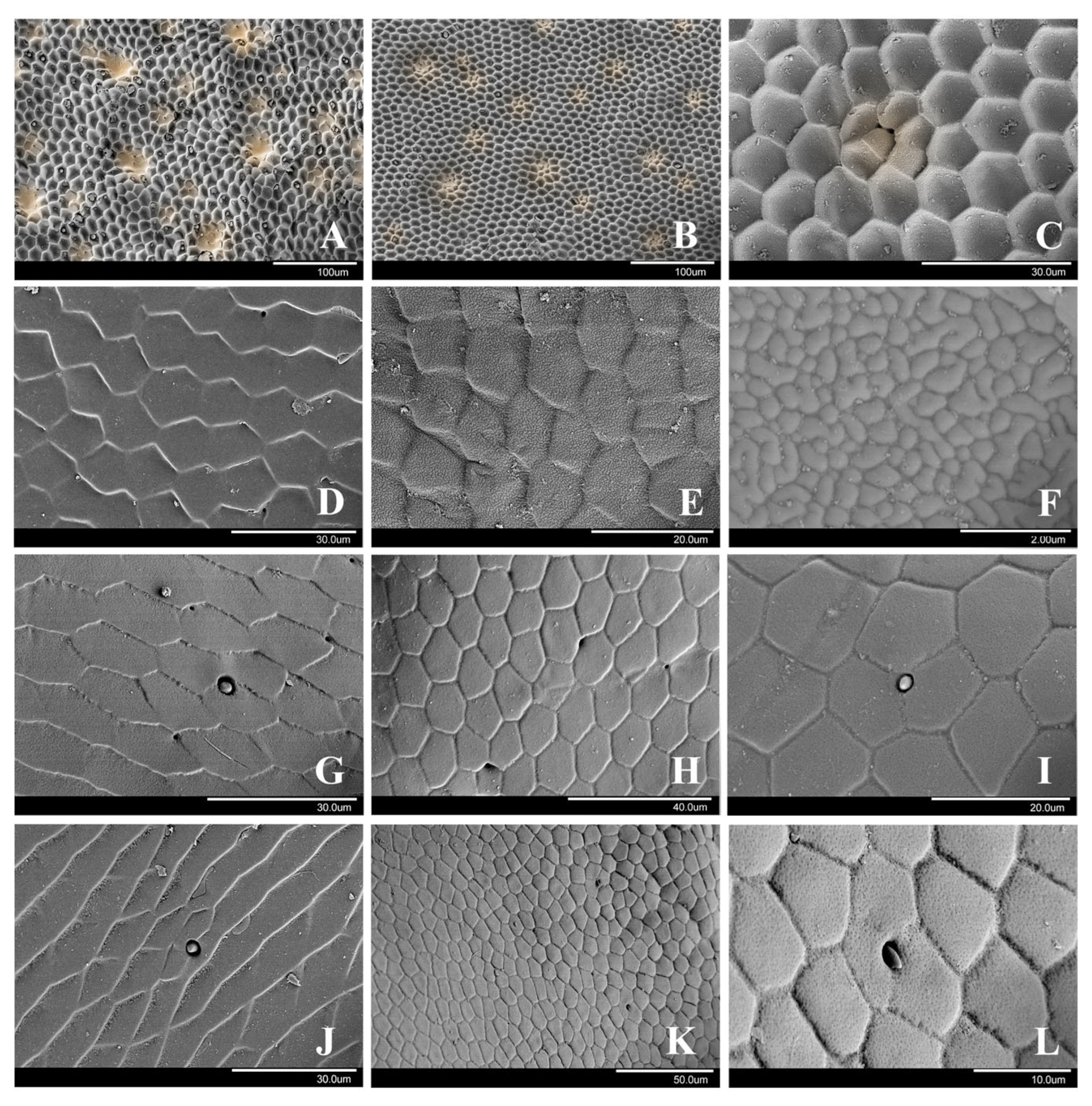Insects 15 00650 g006
