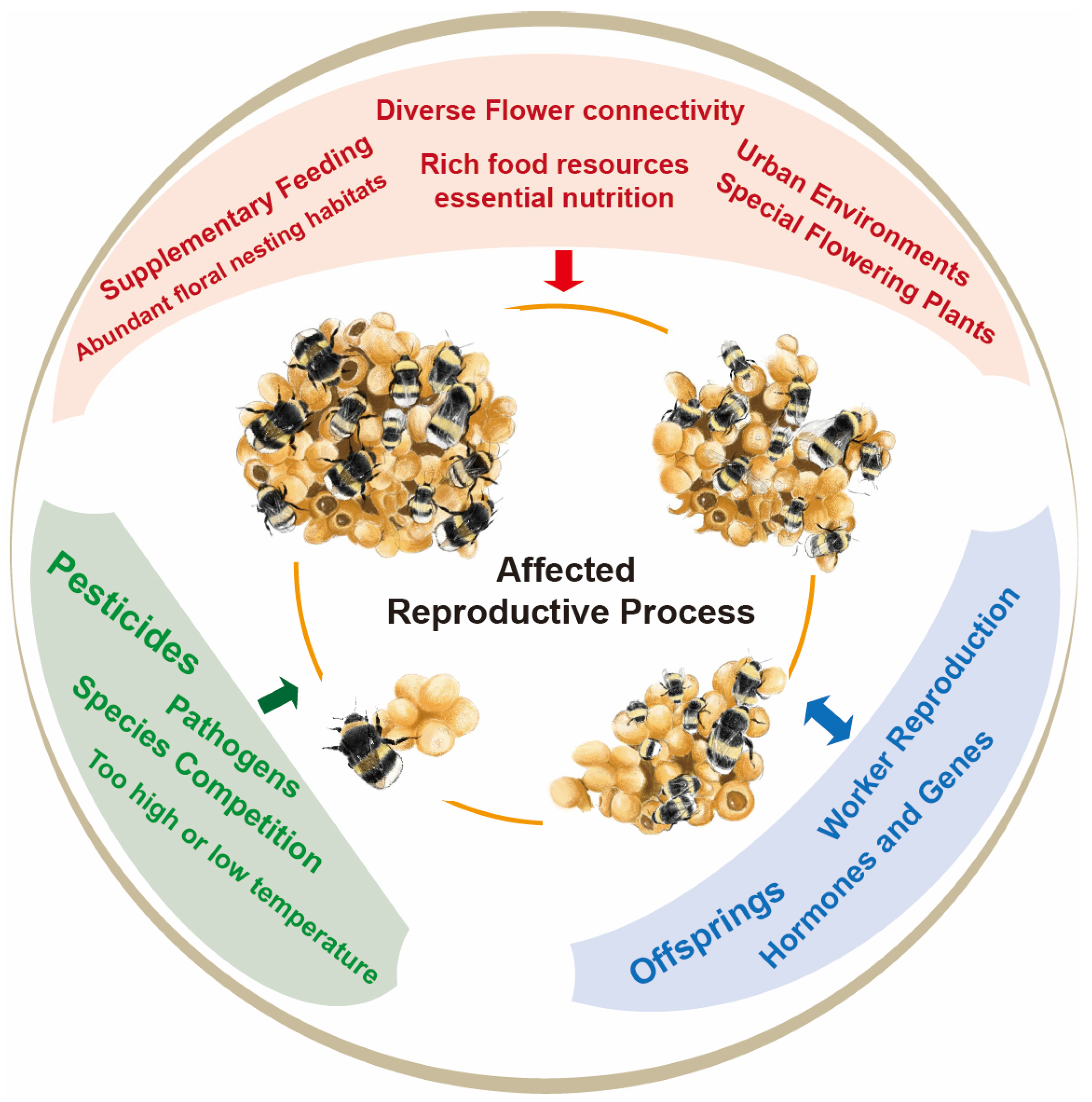 Insects 15 00654 g001 Insects 15 00654 g001