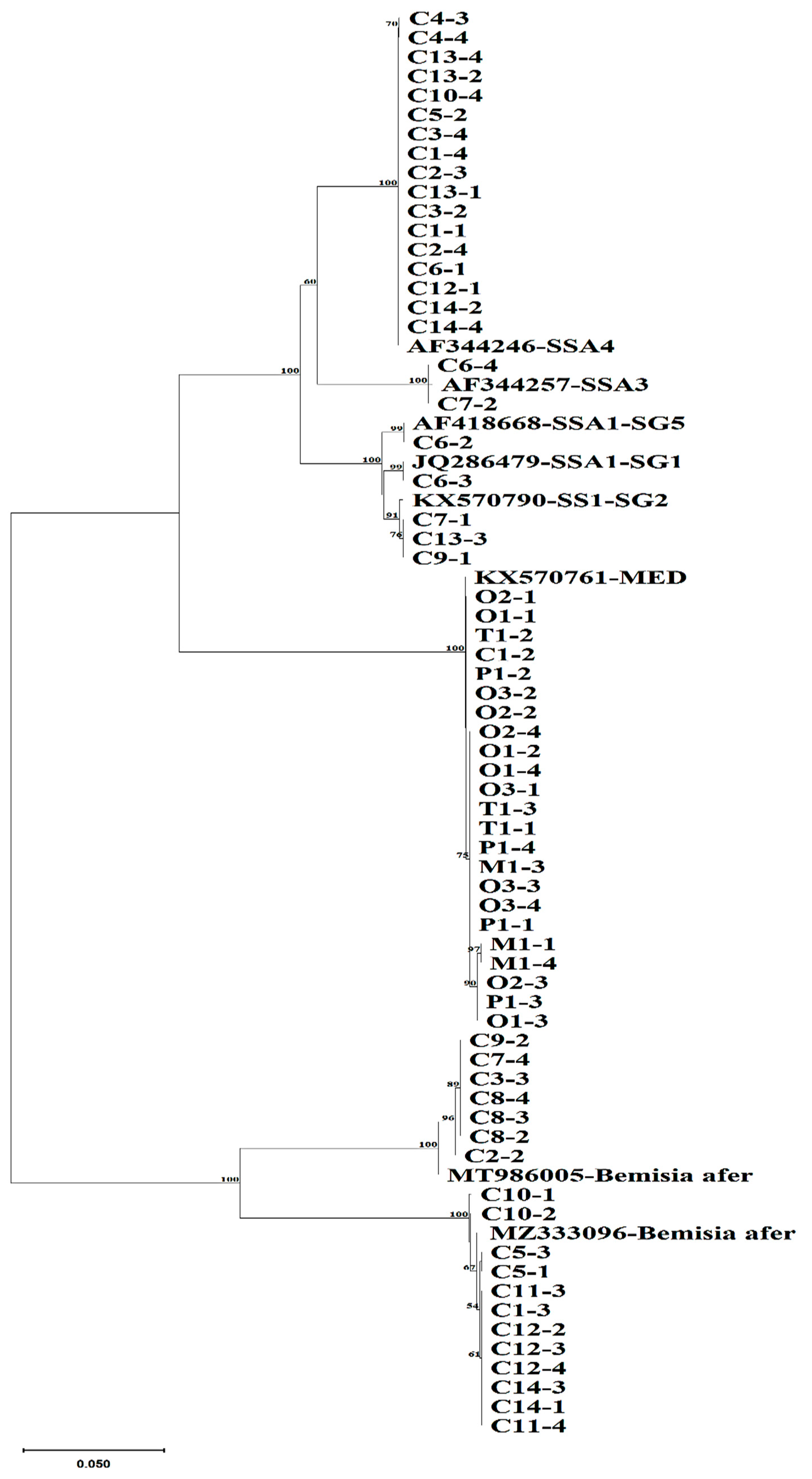 Insects 15 00657 g001