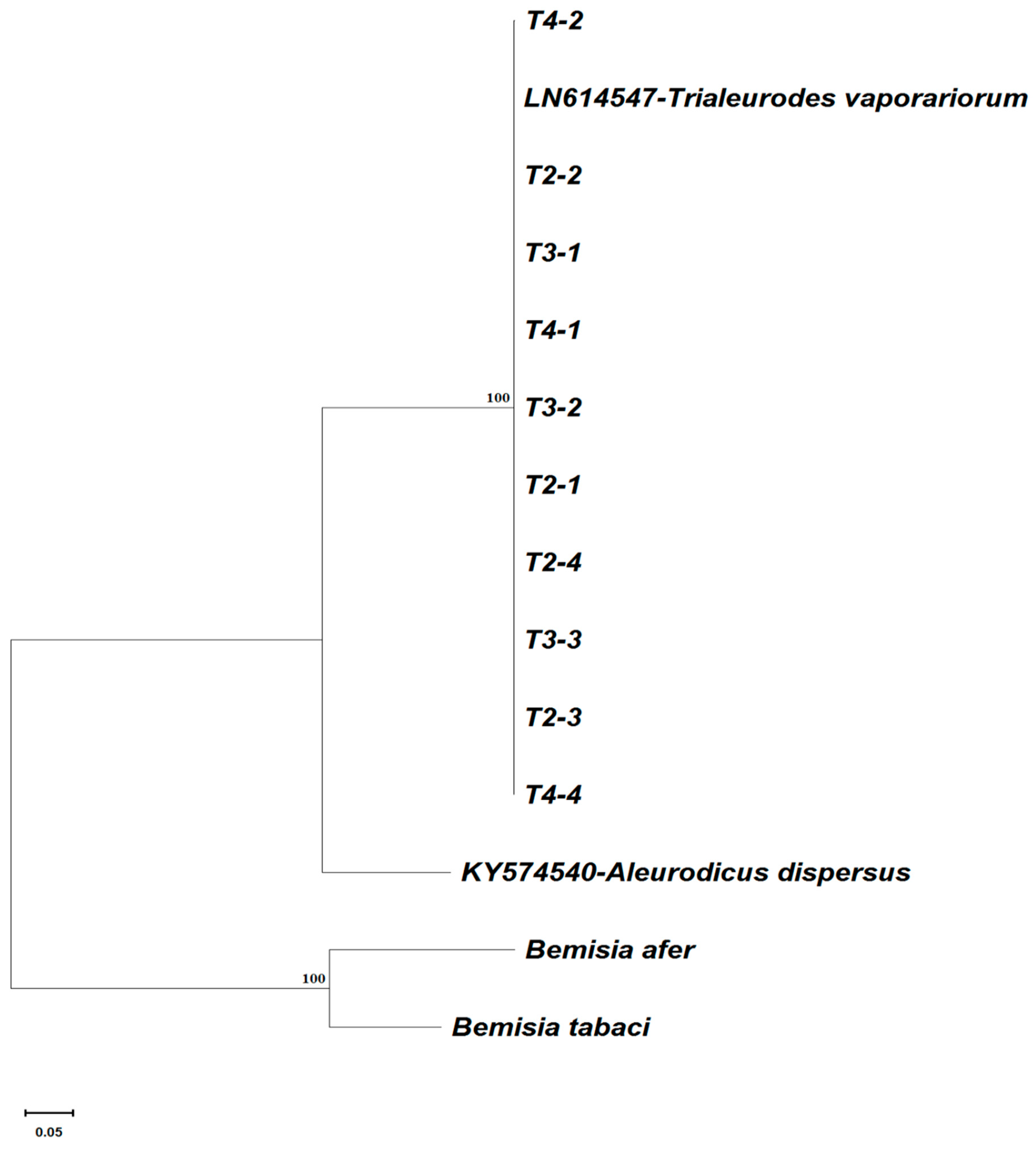 Insects 15 00657 g002