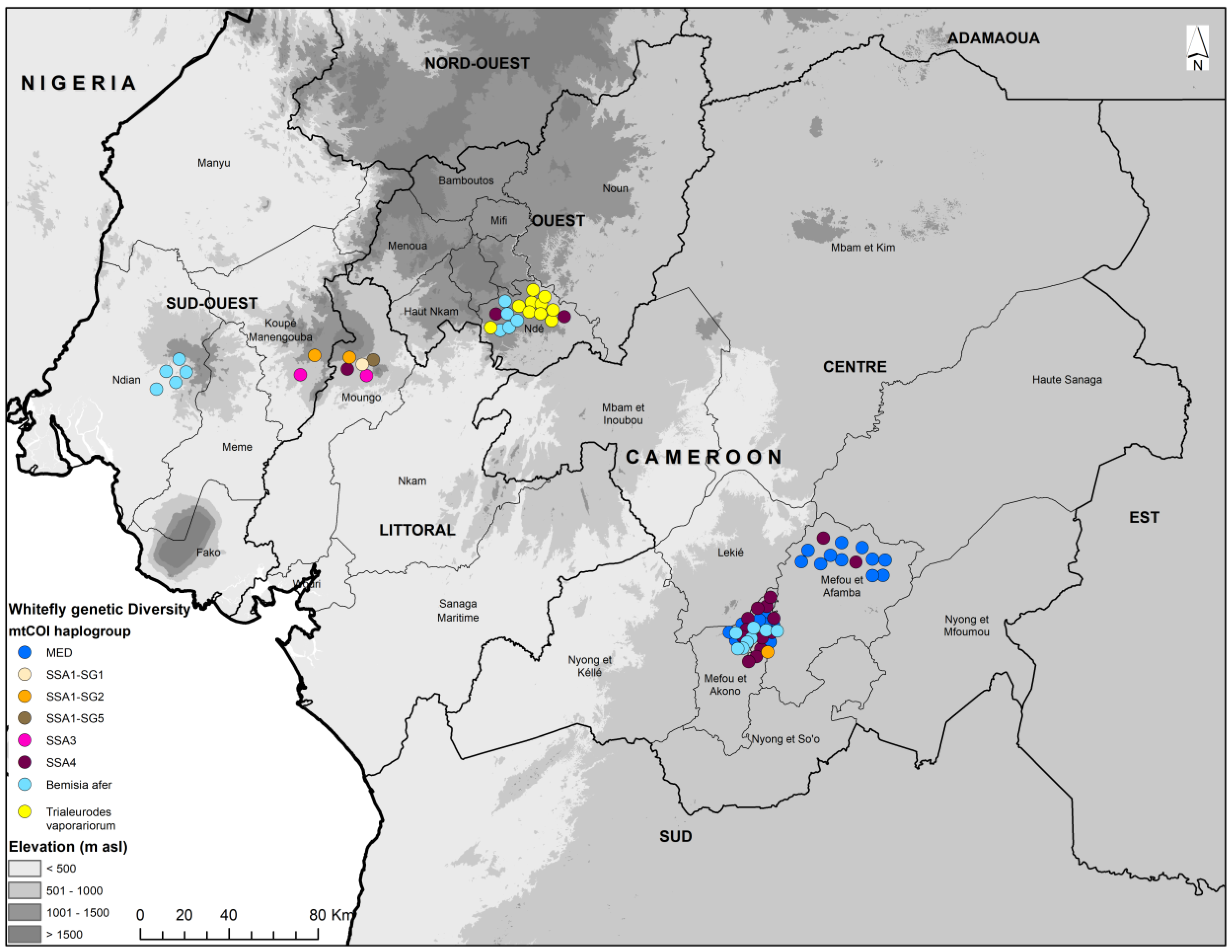Insects 15 00657 g003