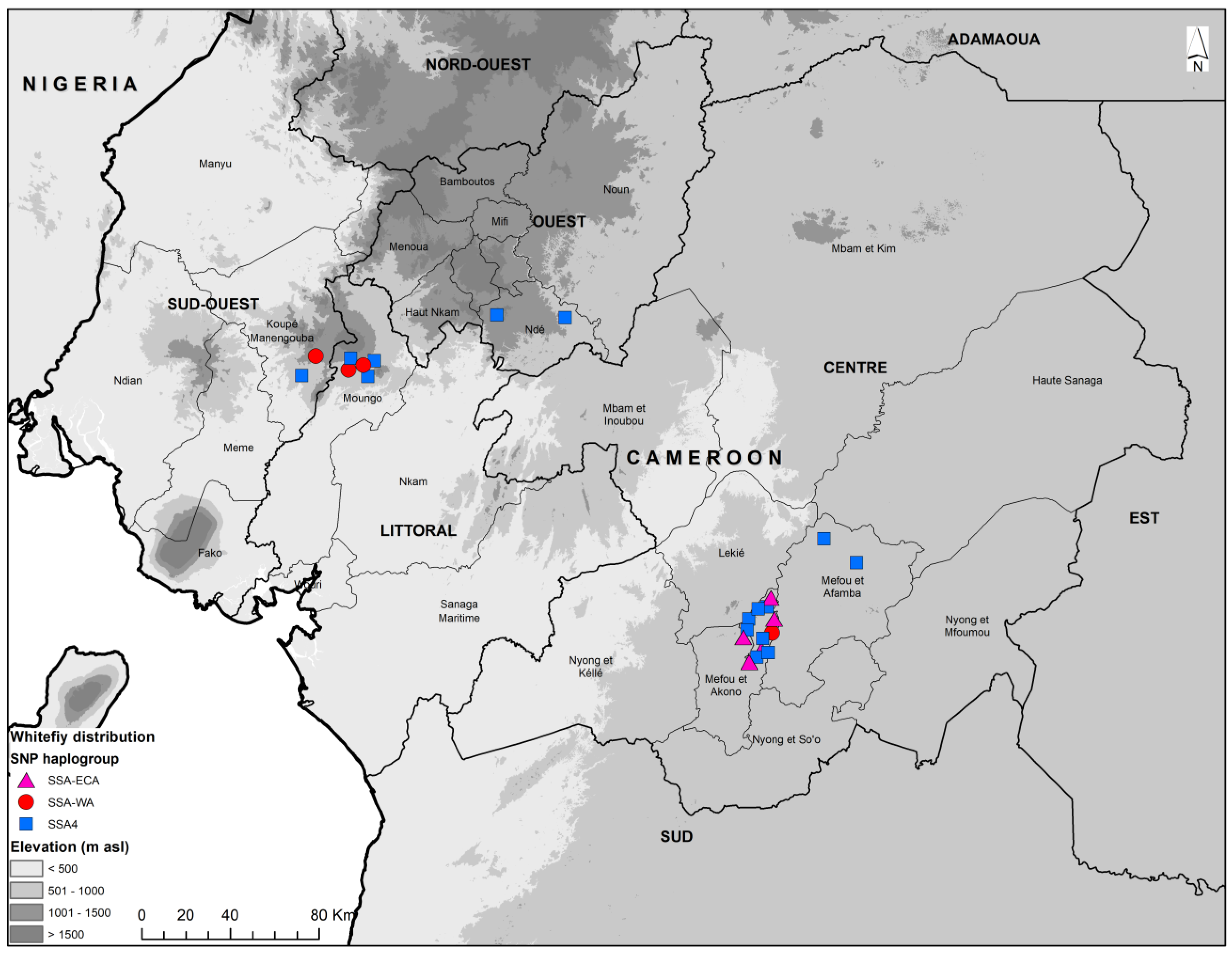 Insects 15 00657 g005