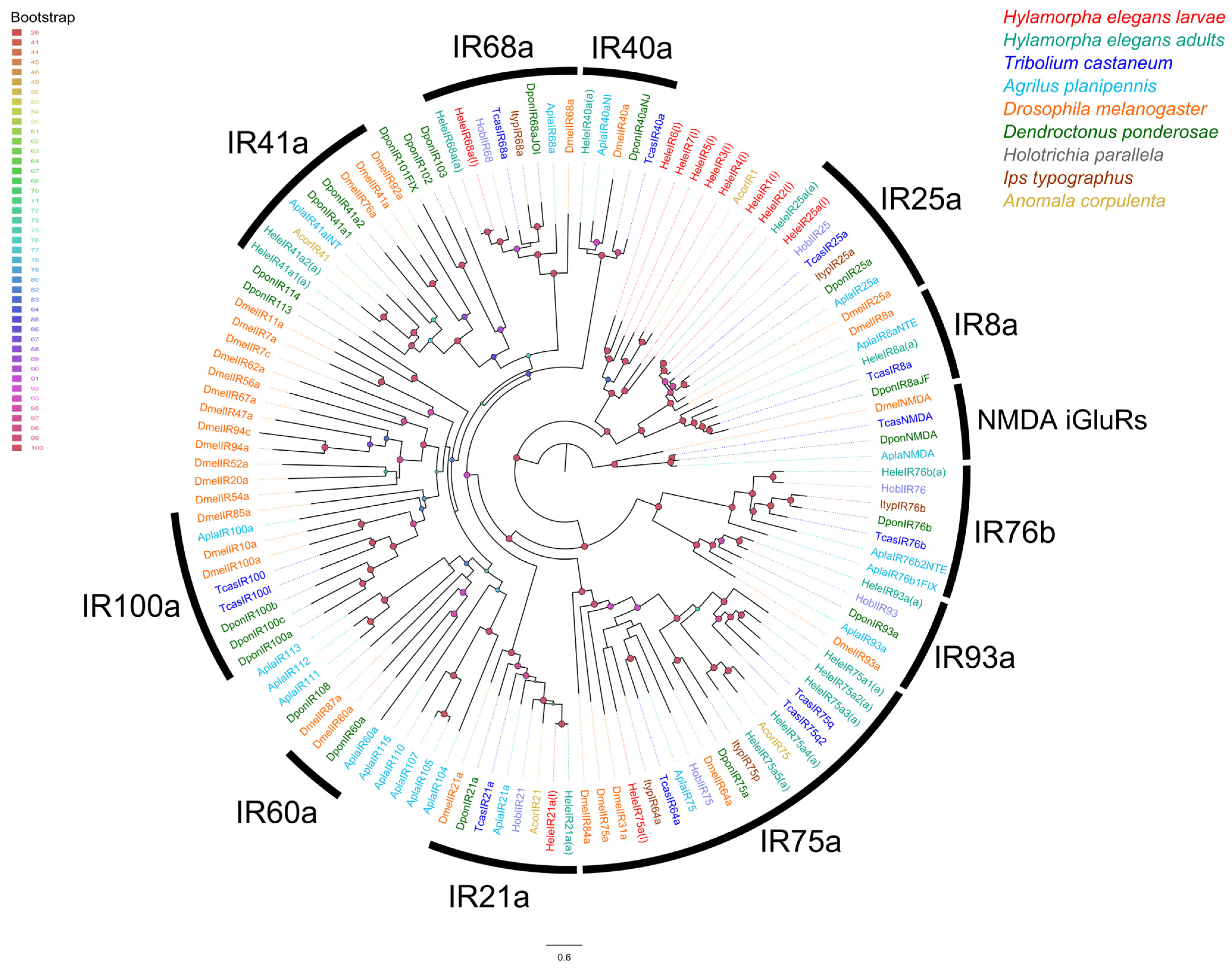Insects 15 00660 g004