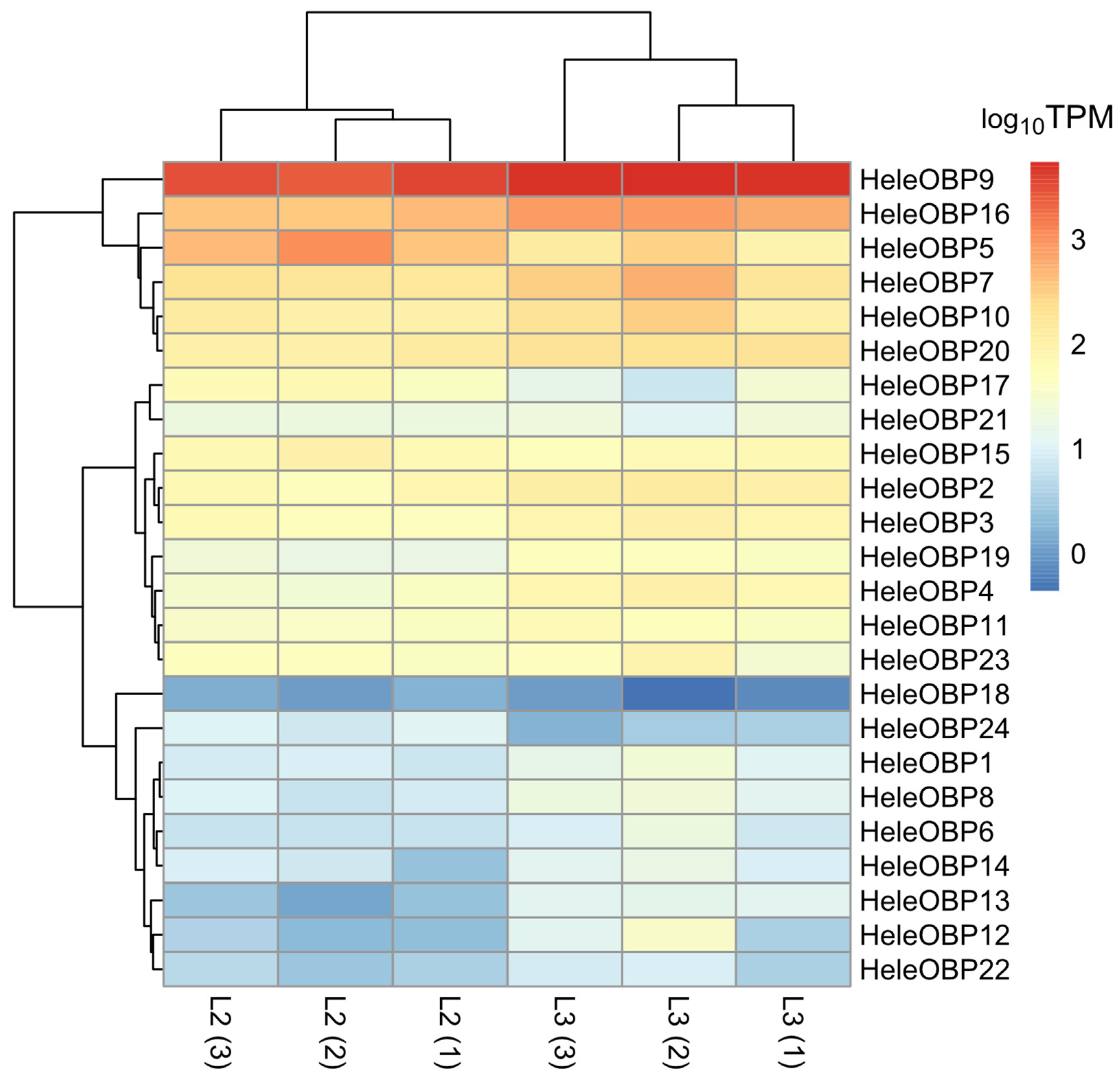Insects 15 00660 g006