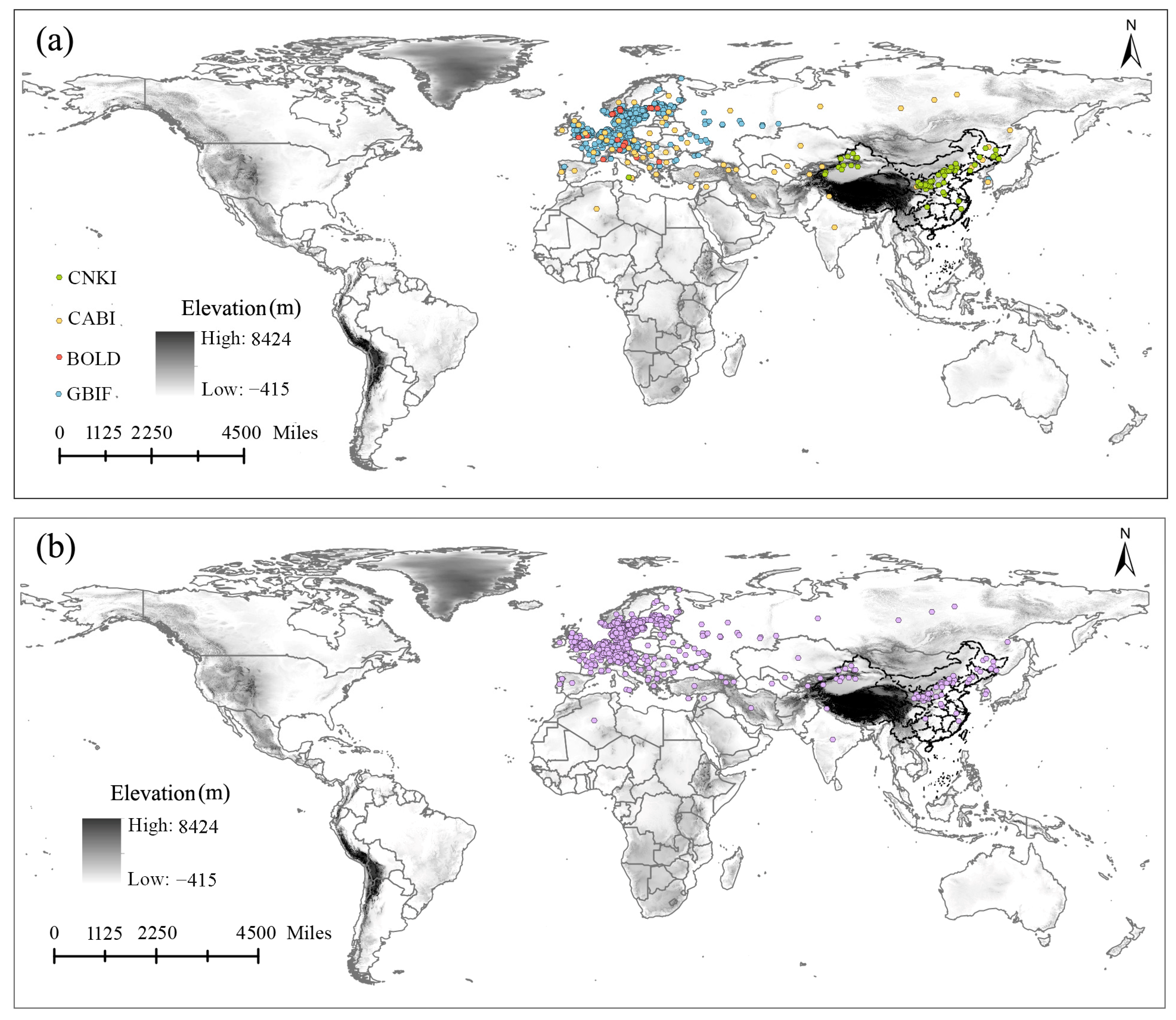 Insects 15 00663 g001