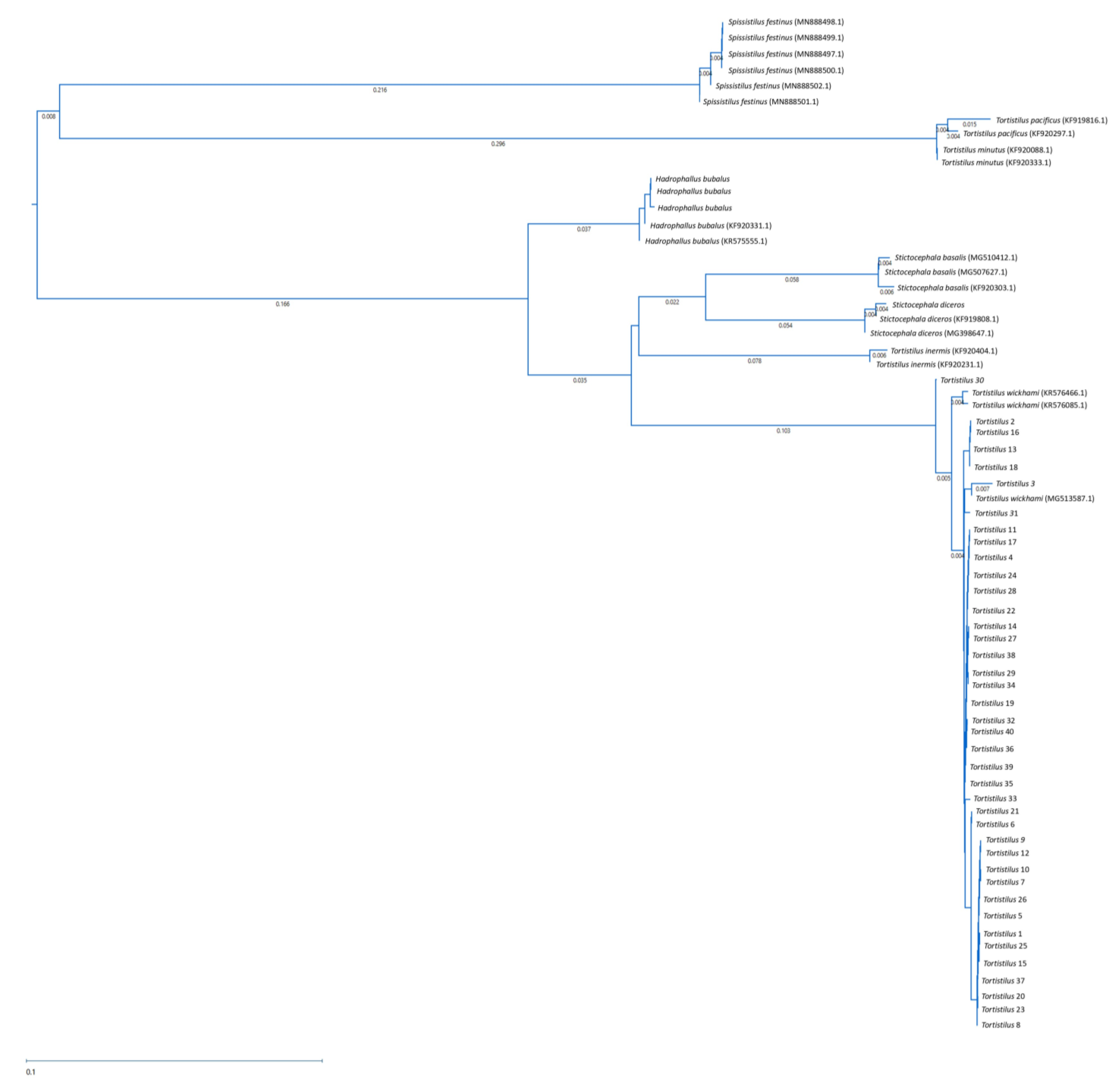 Insects 15 00664 g007 Insects 15 00664 g007