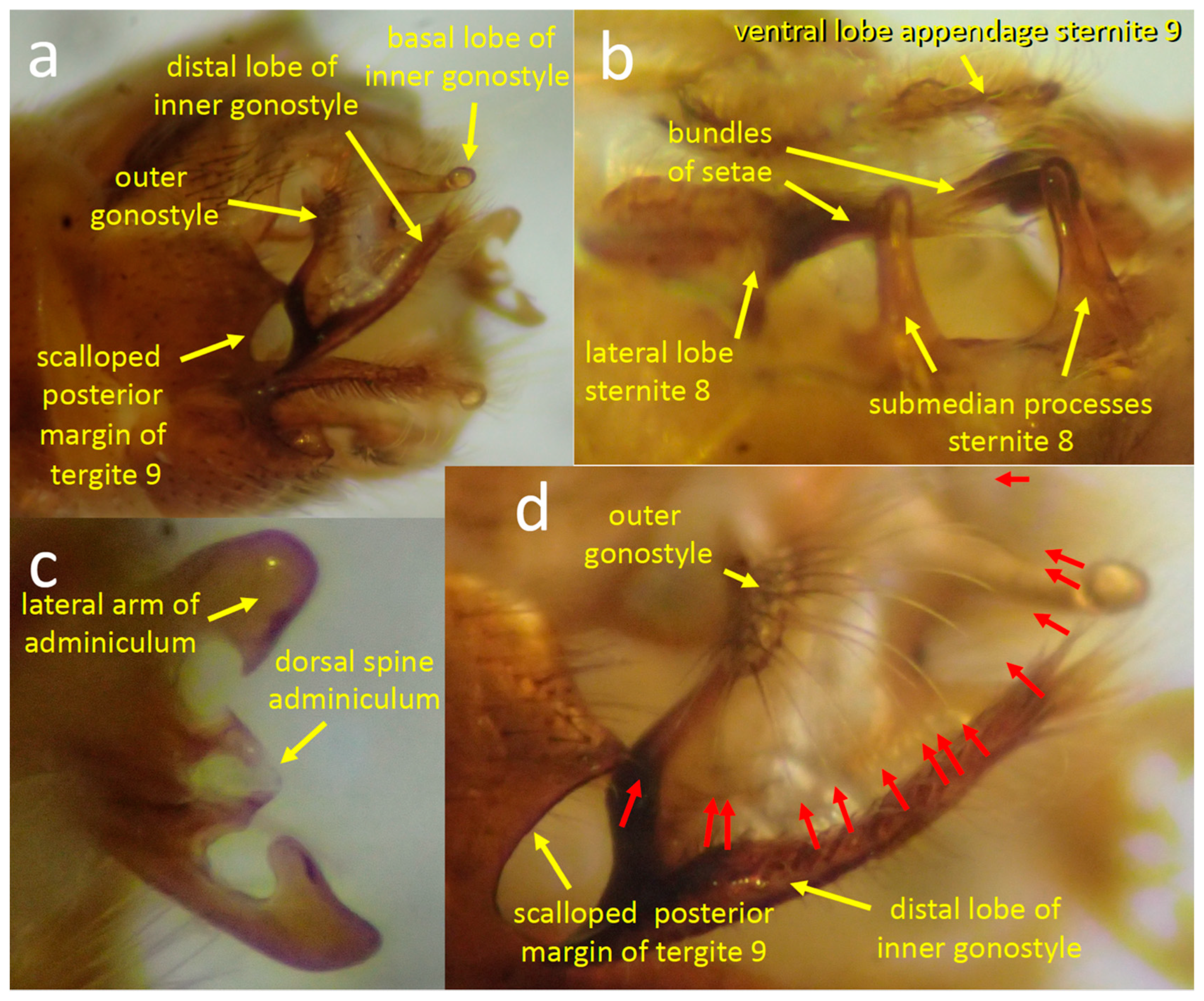 Insects 15 00680 g001 Insects 15 00680 g001