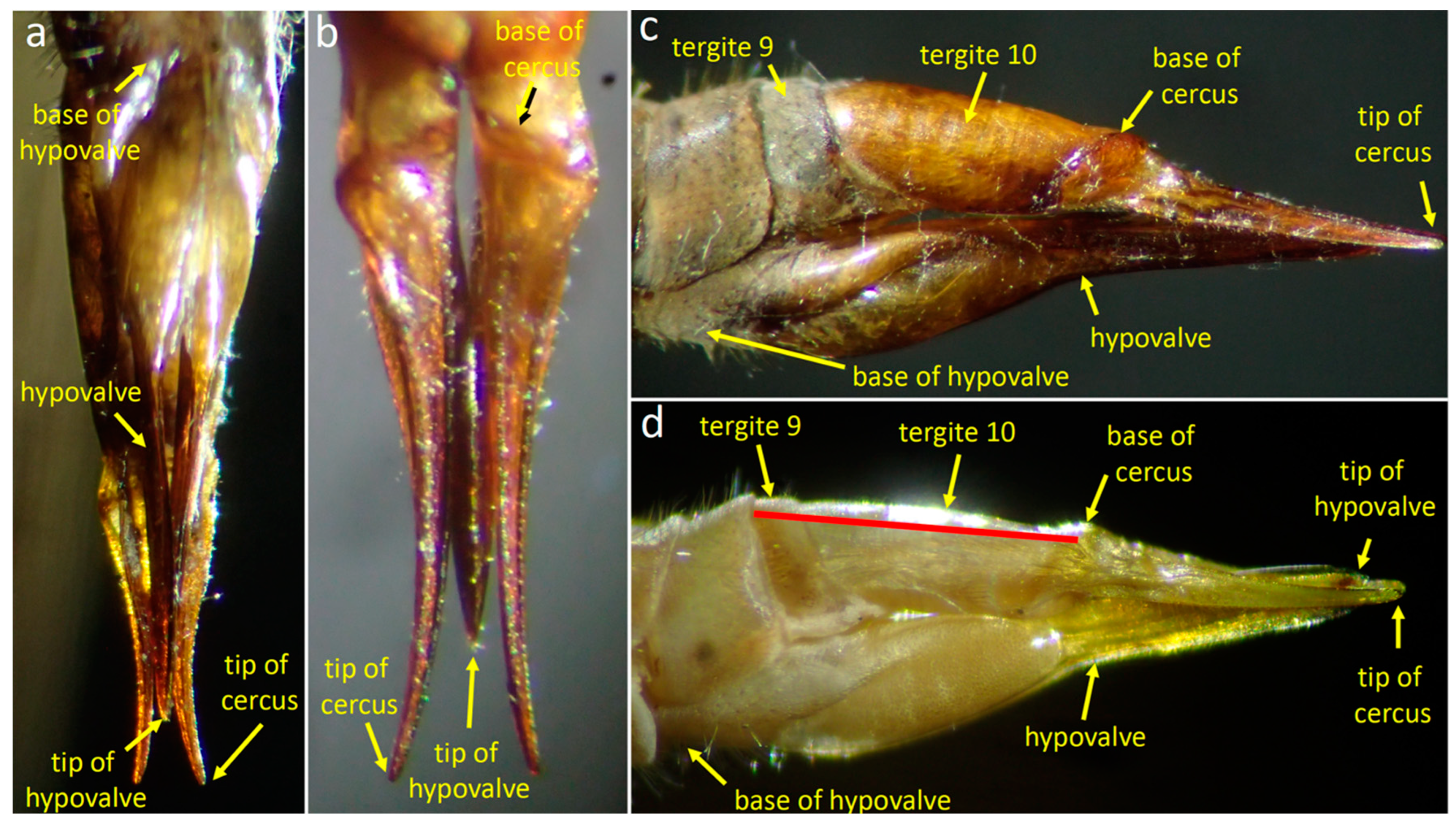 Insects 15 00680 g003 Insects 15 00680 g003