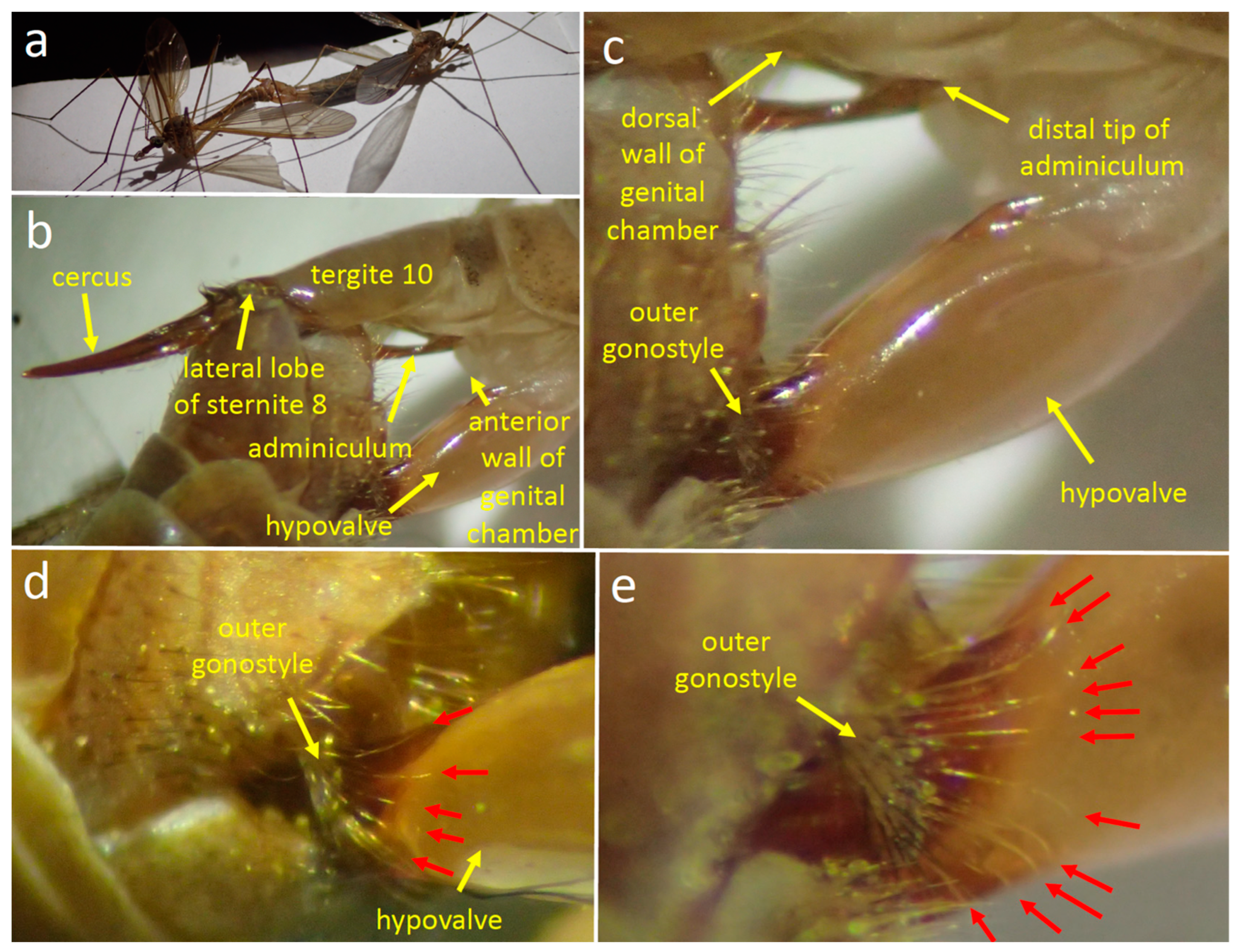 Insects 15 00680 g004 Insects 15 00680 g004