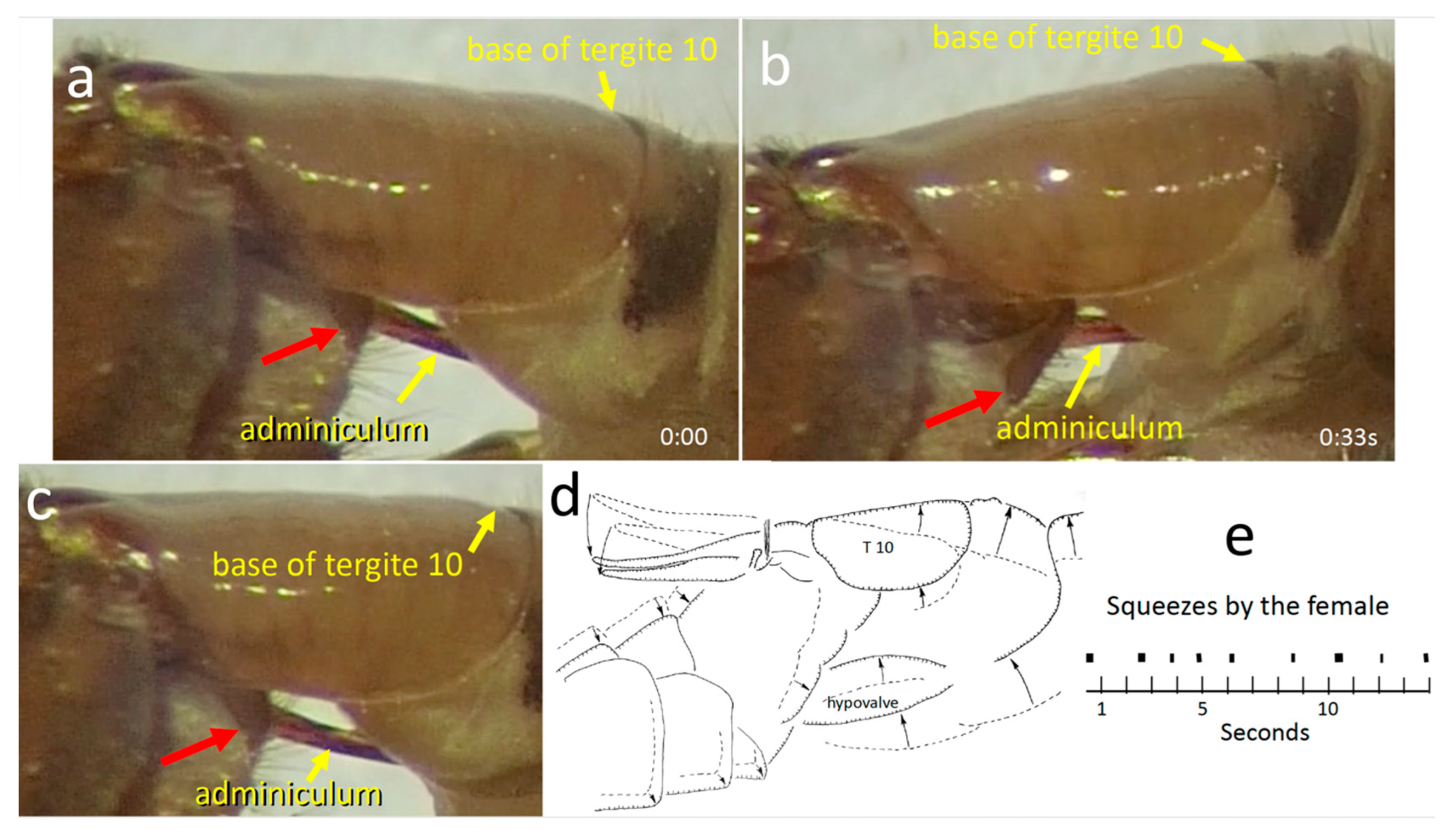 Insects 15 00680 g007 Insects 15 00680 g007