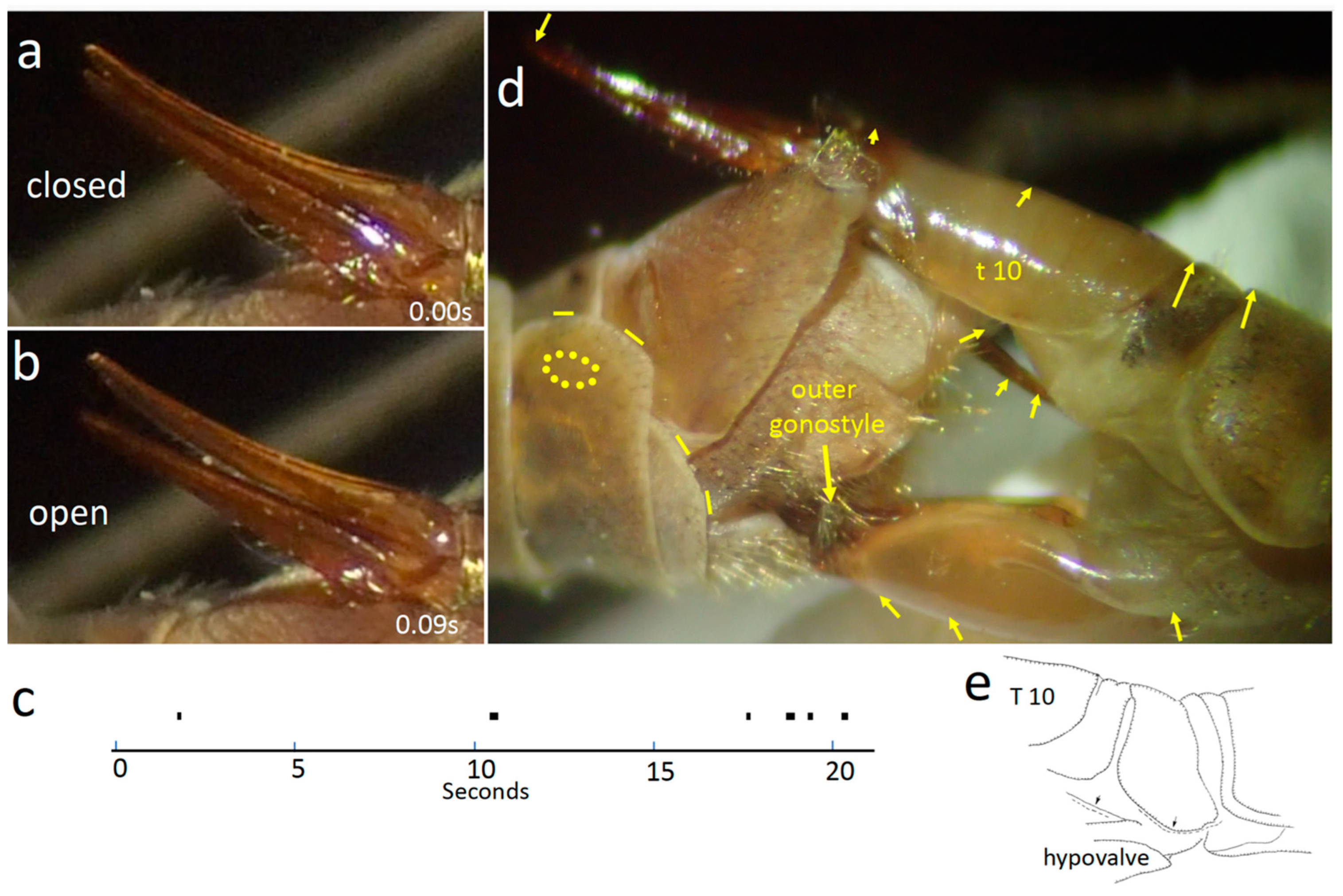 Insects 15 00680 g008 Insects 15 00680 g008