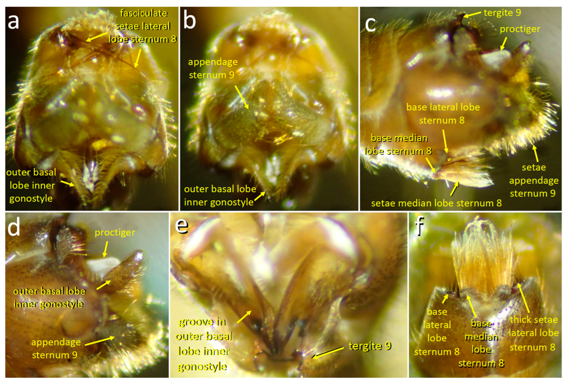 Insects 15 00680 g011 Insects 15 00680 g011