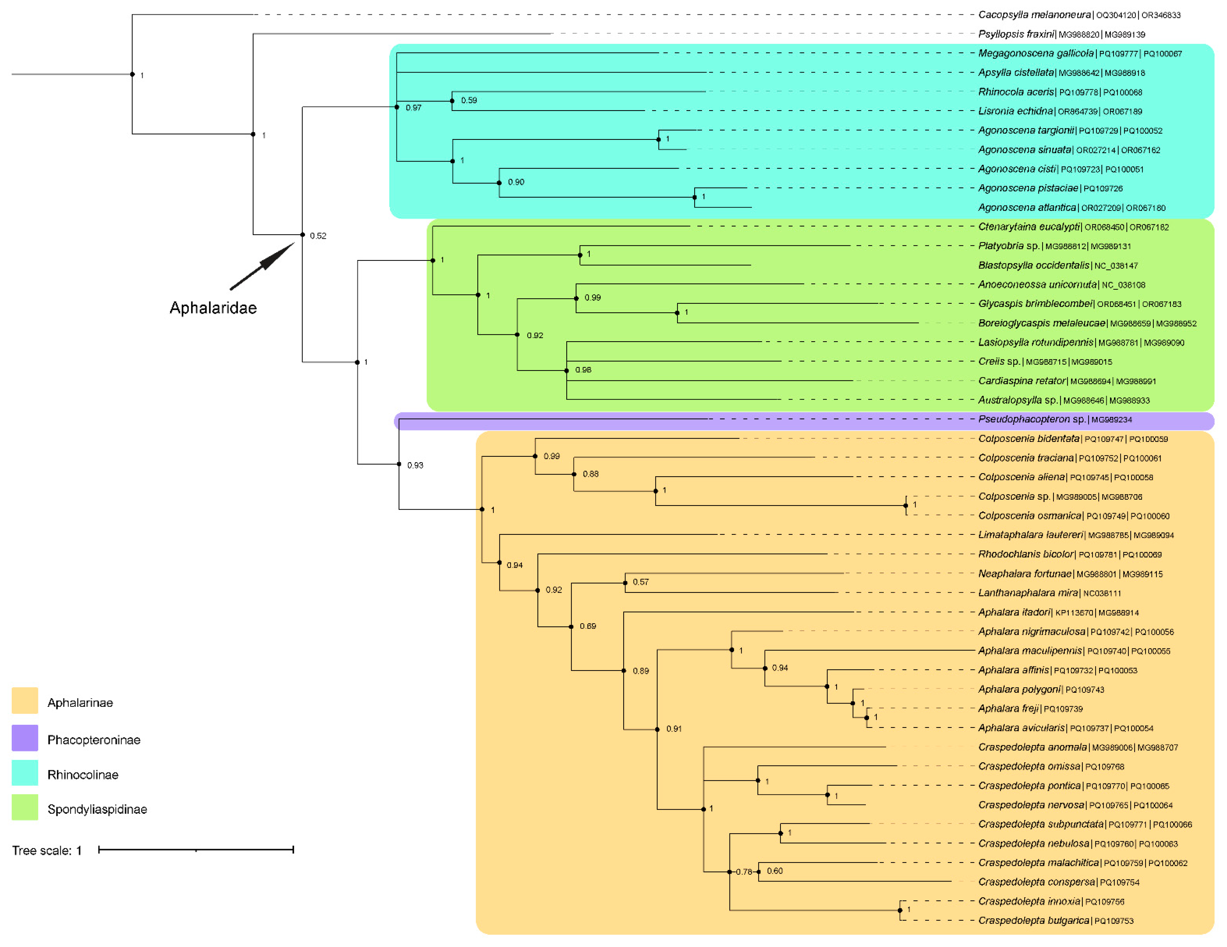 Insects 15 00683 g004