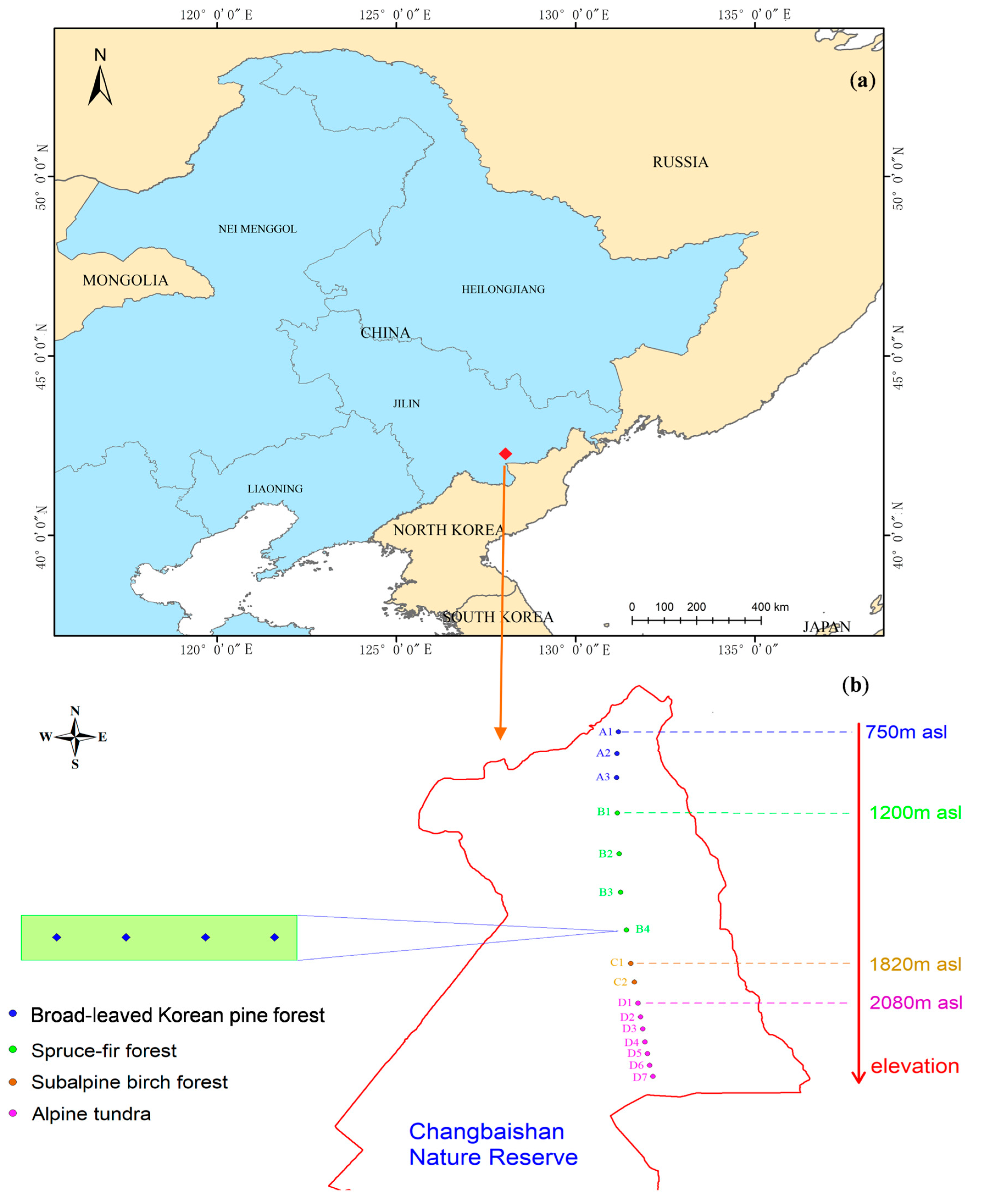 Insects 15 00688 g001