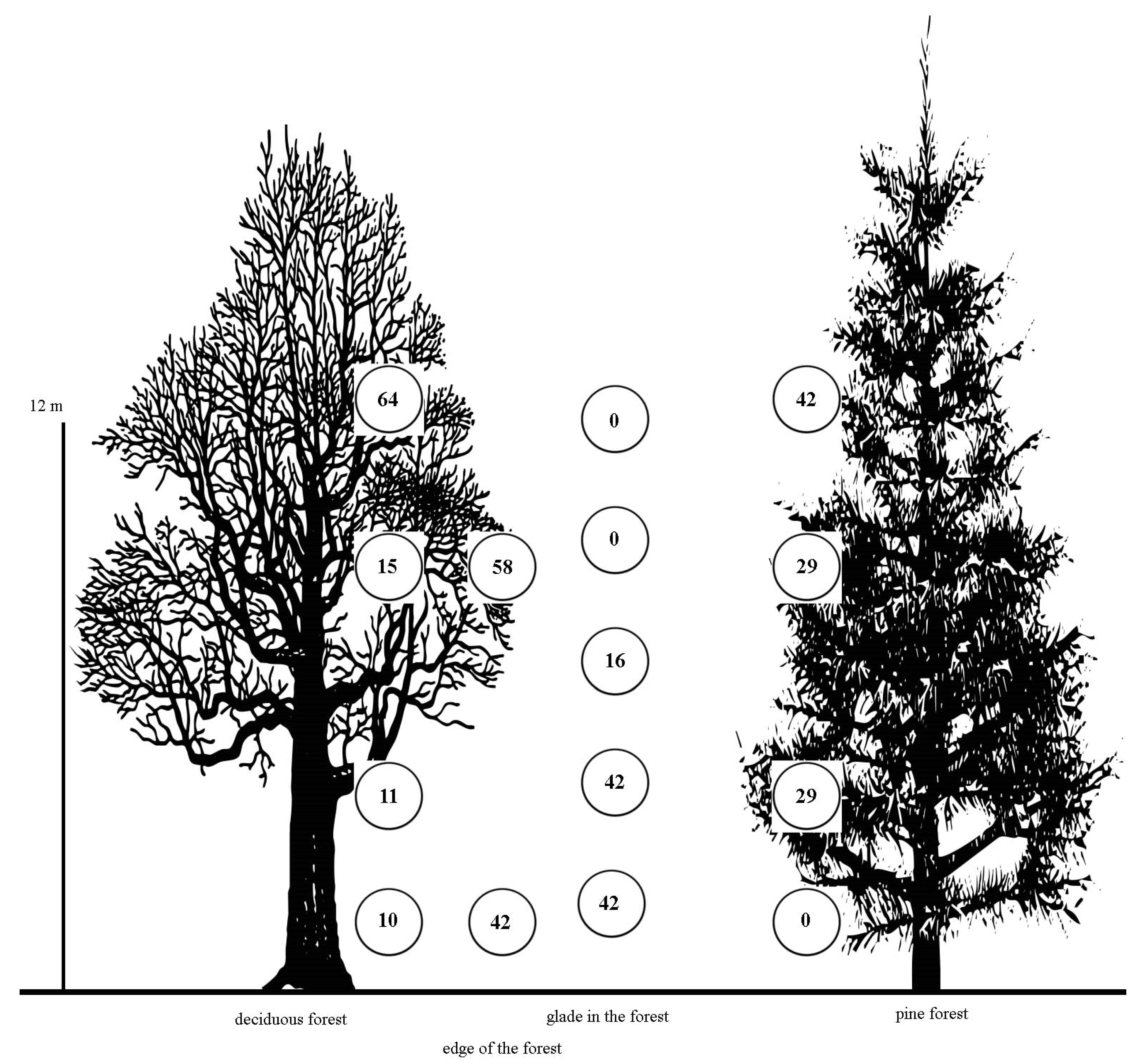 Insects 15 00695 g004