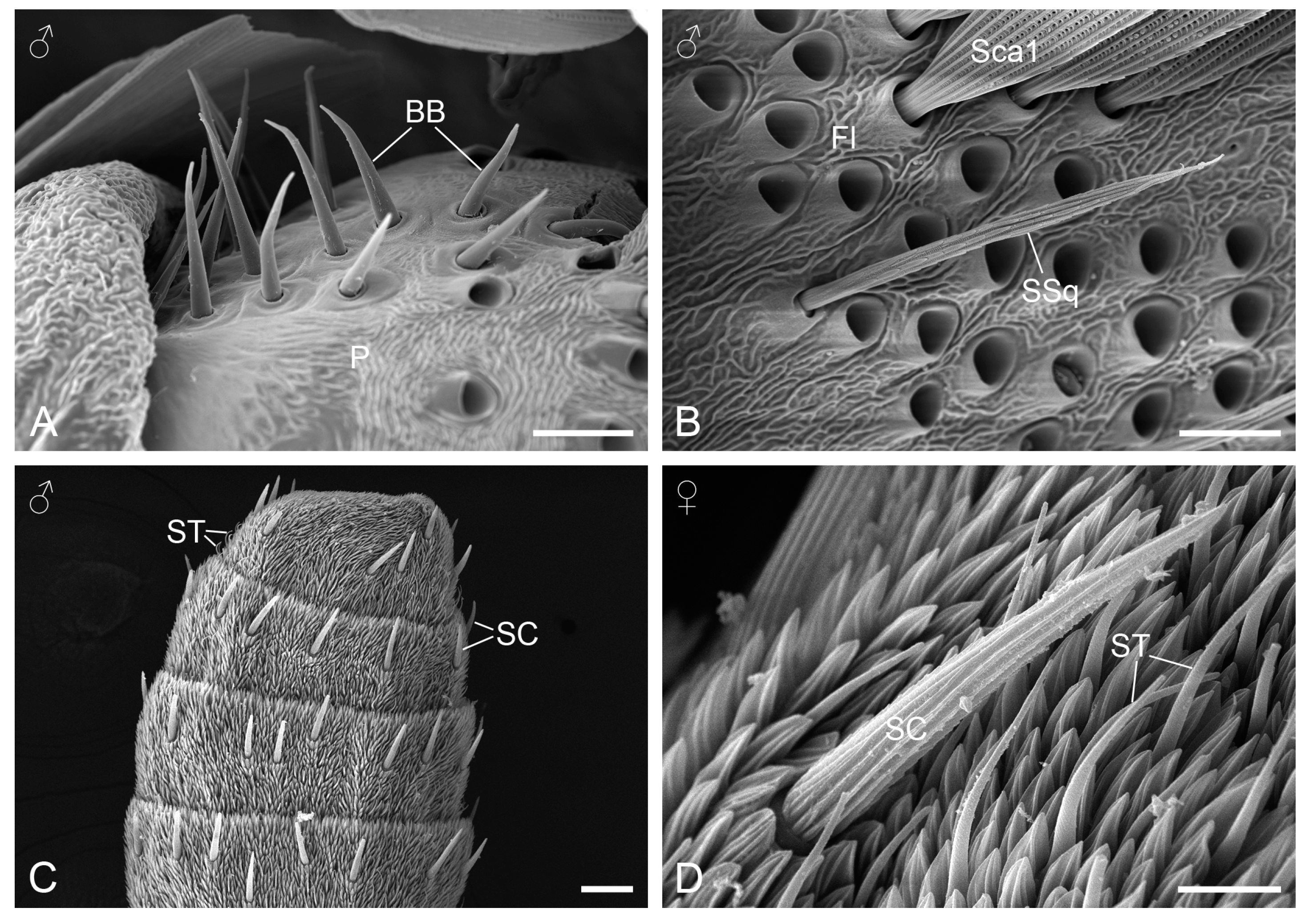 Insects 15 00698 g003 Insects 15 00698 g003