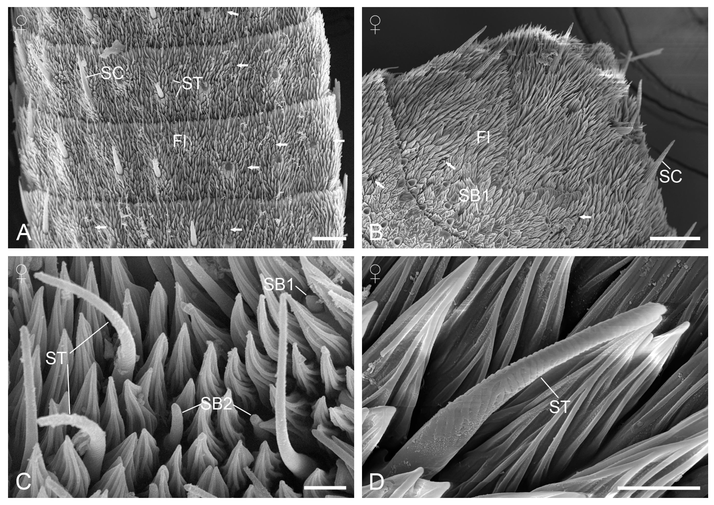 Insects 15 00698 g004 Insects 15 00698 g004