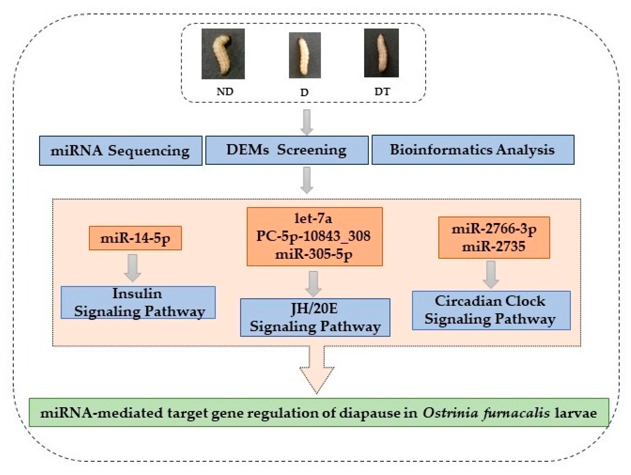 Insects 15 00702 g007 Insects 15 00702 g007