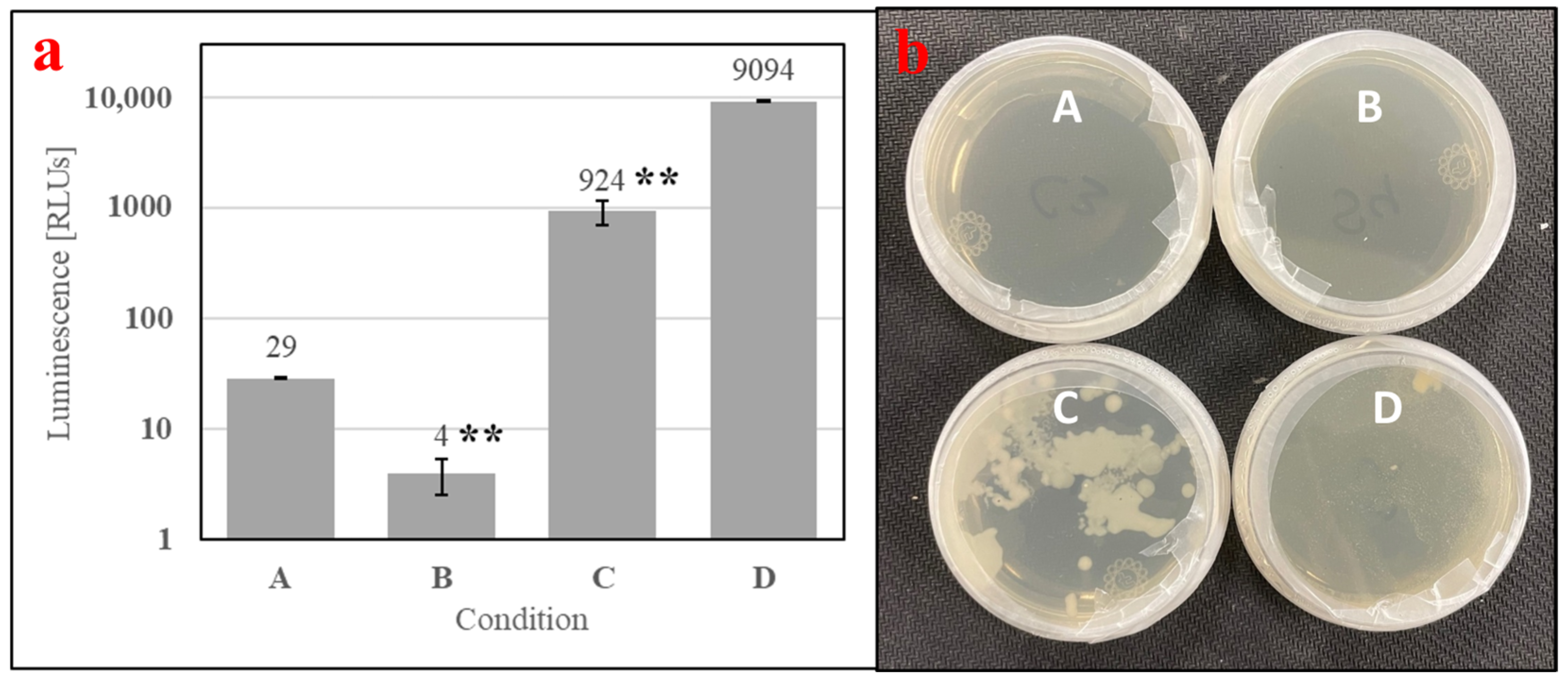Insects 15 00716 g007
