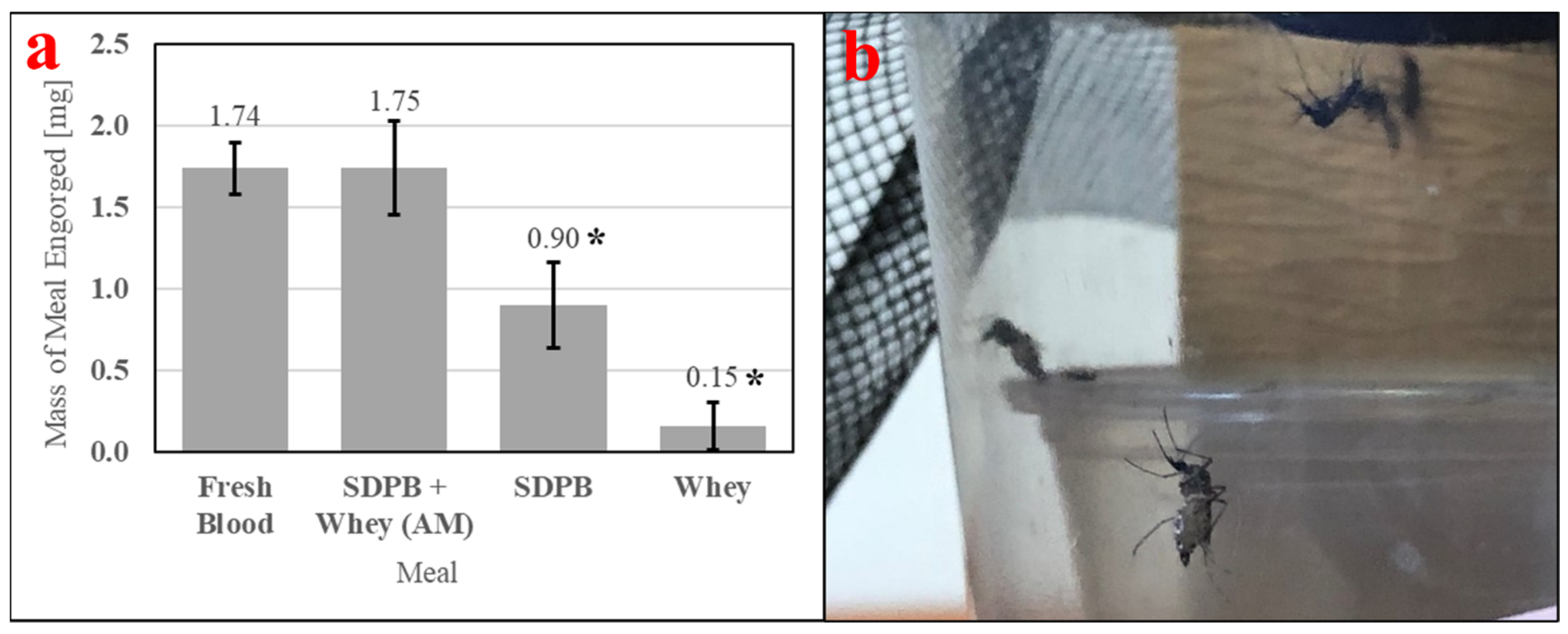 Insects 15 00716 g010