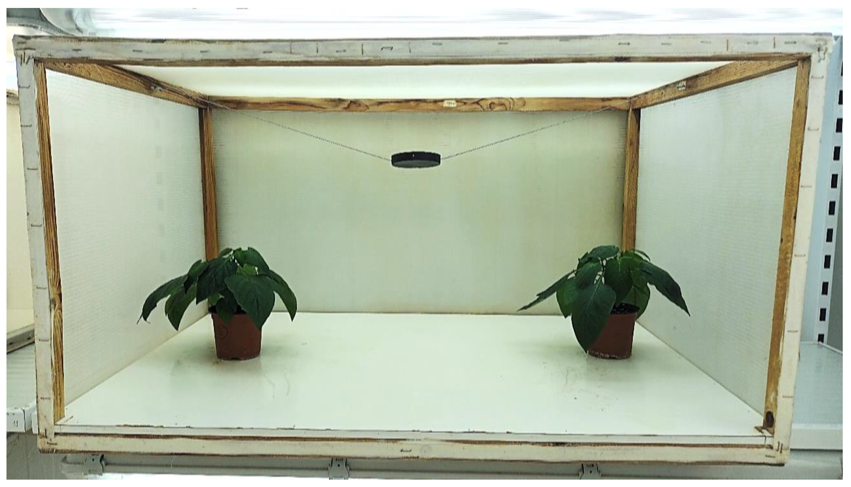 Insects 15 00731 g001