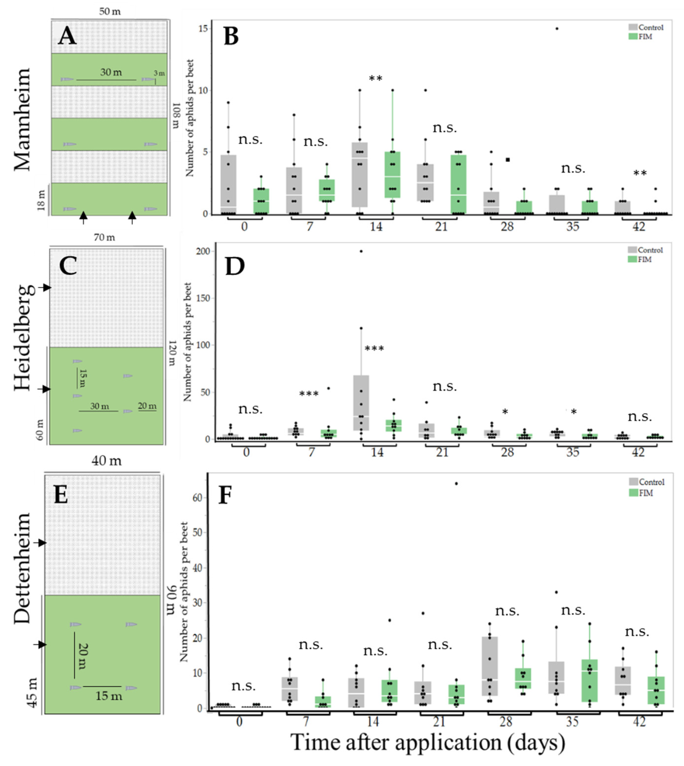 Insects 15 00736 g001