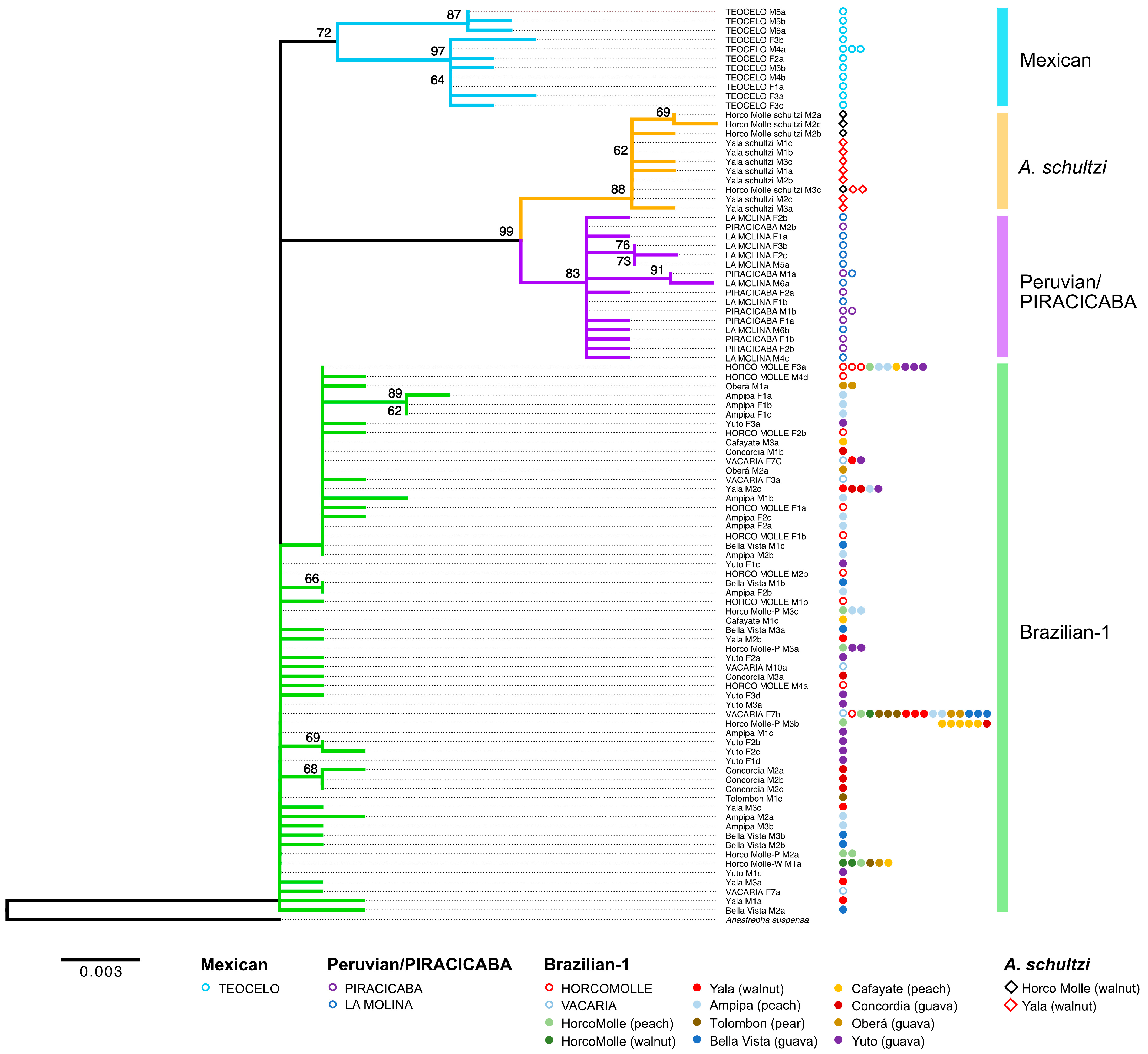 Insects 15 00748 g004
