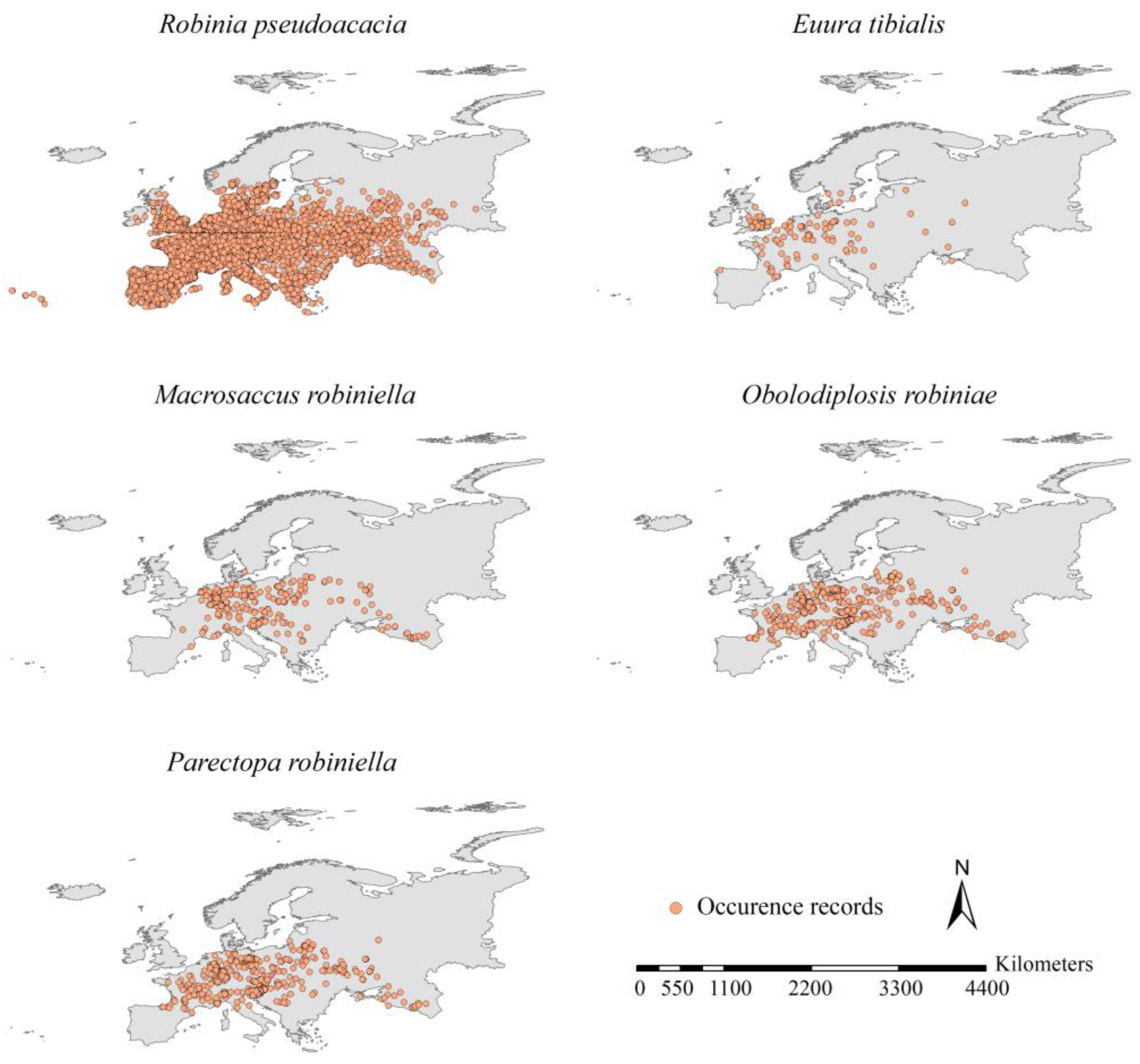 Insects 15 00765 g001