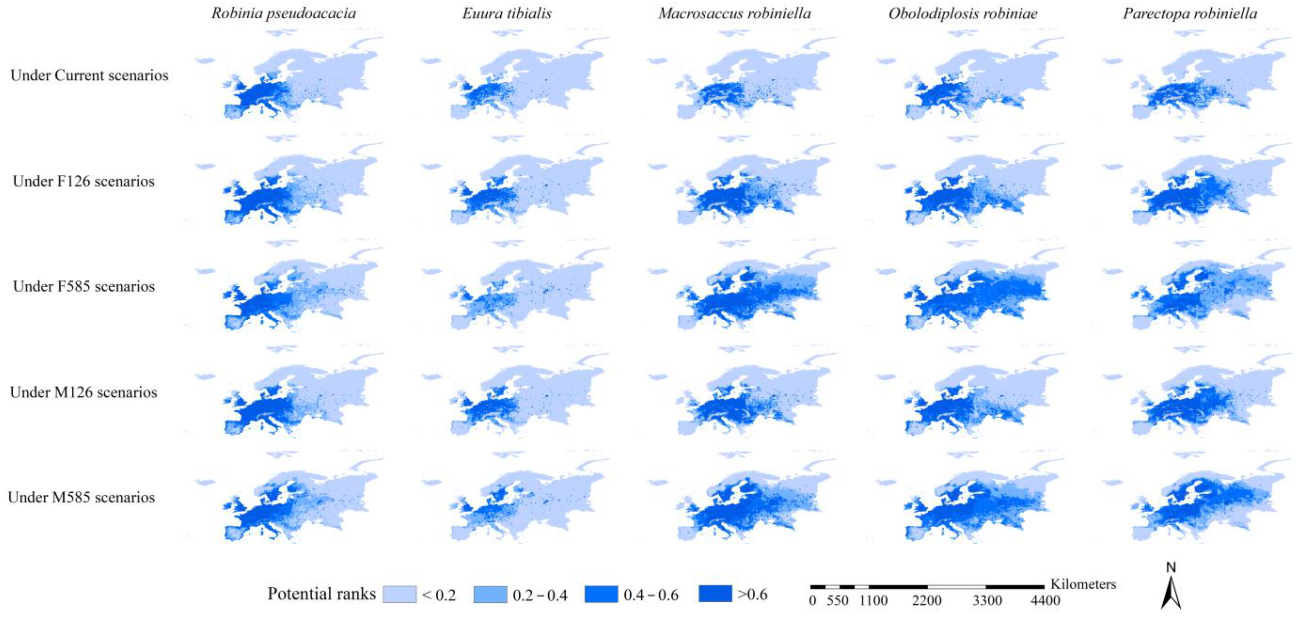 Insects 15 00765 g003