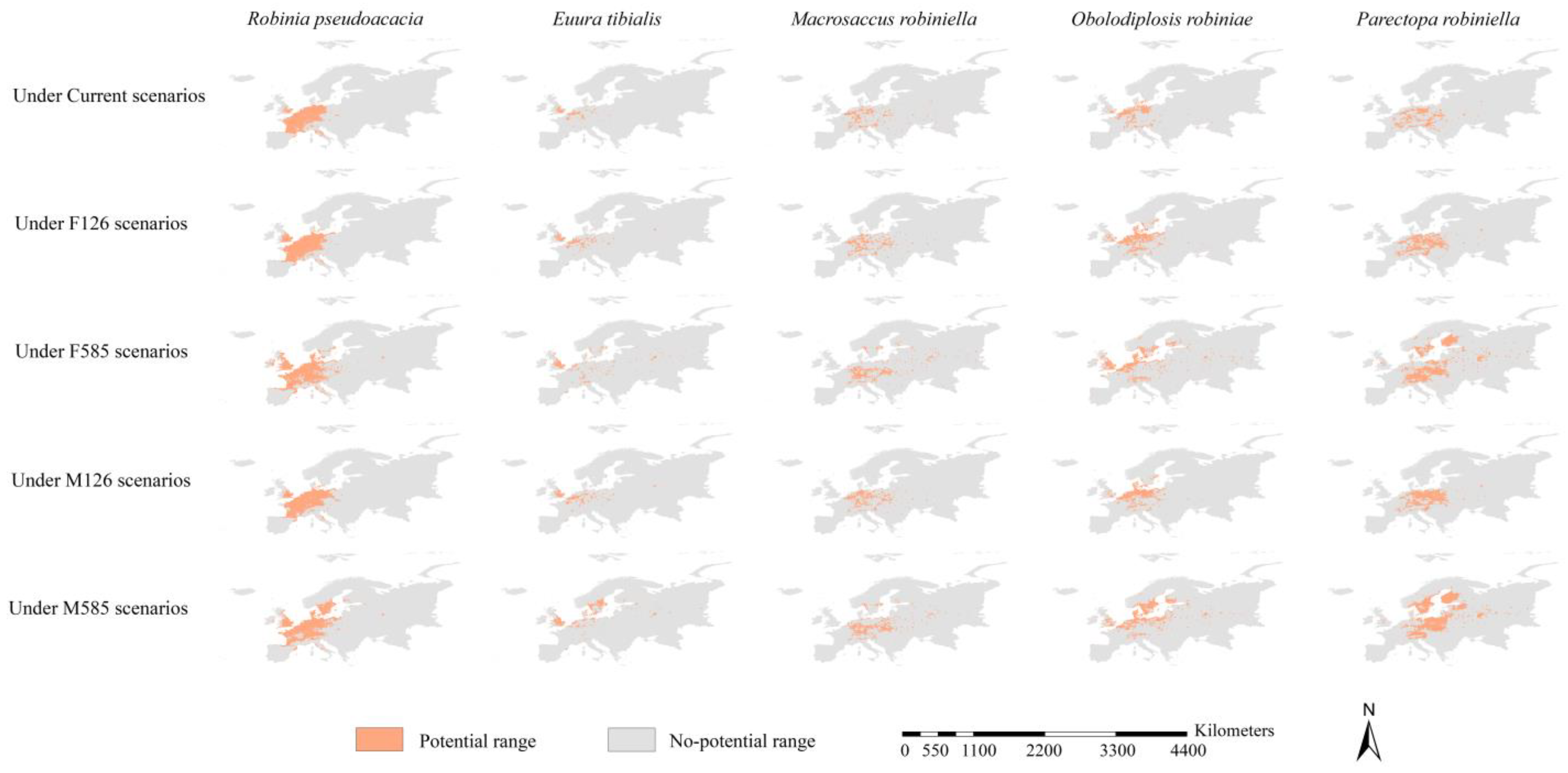 Insects 15 00765 g004