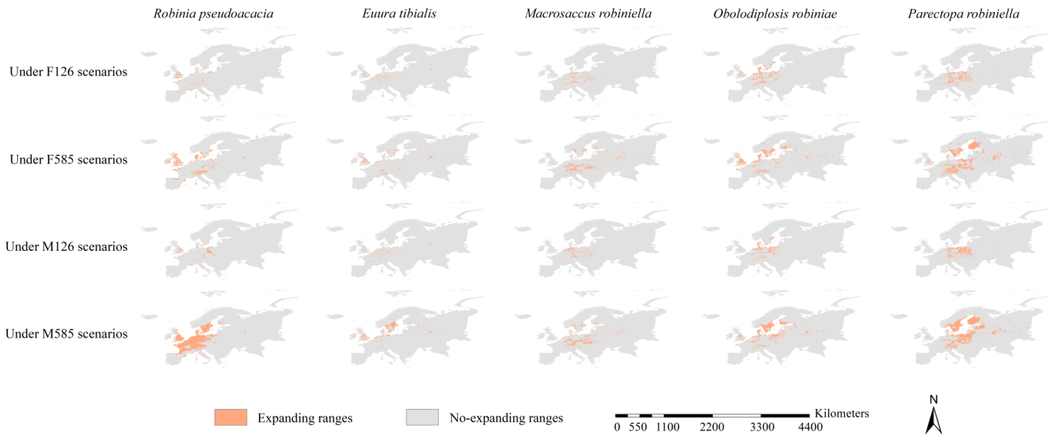 Insects 15 00765 g006