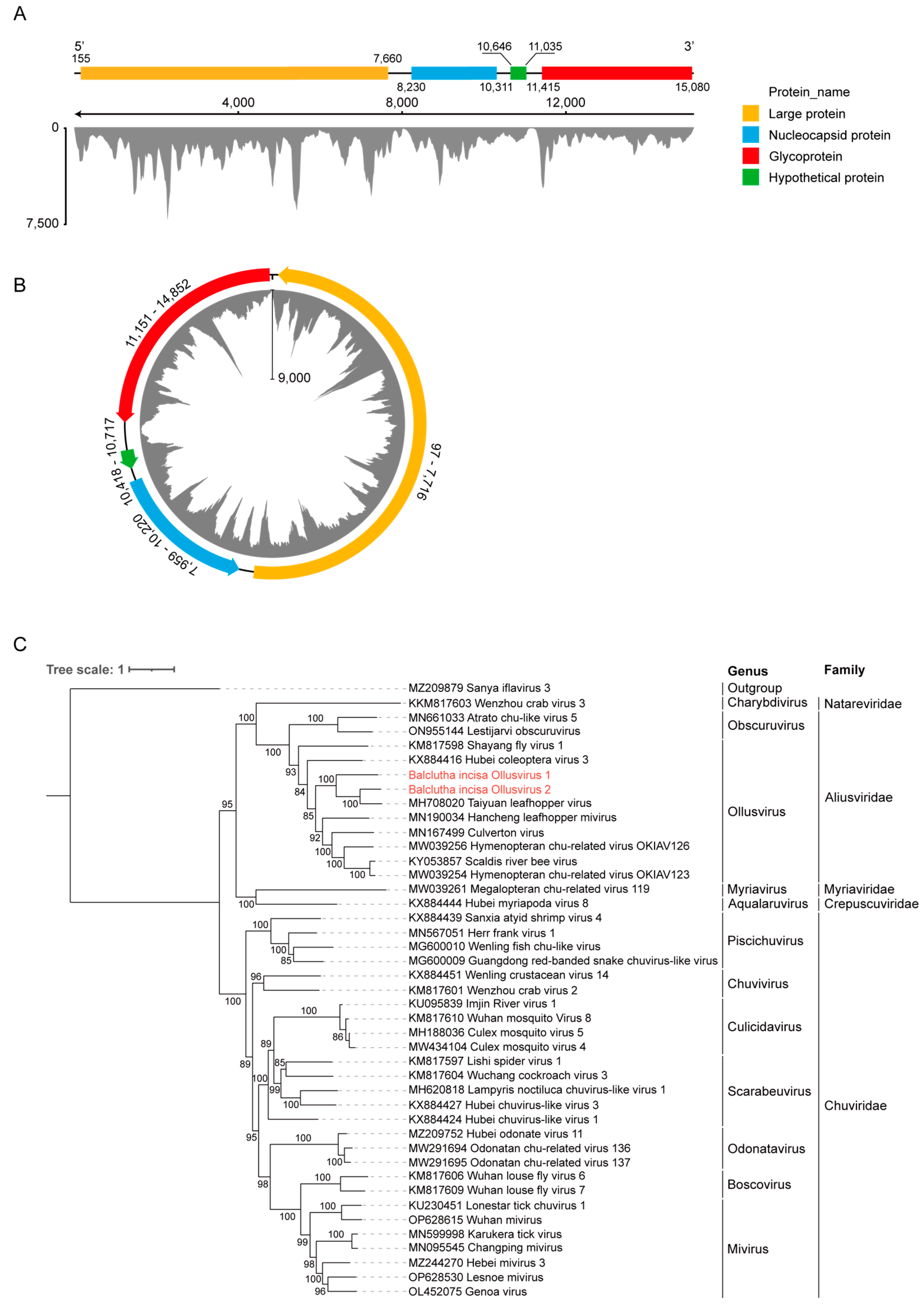 Insects 15 00772 g002