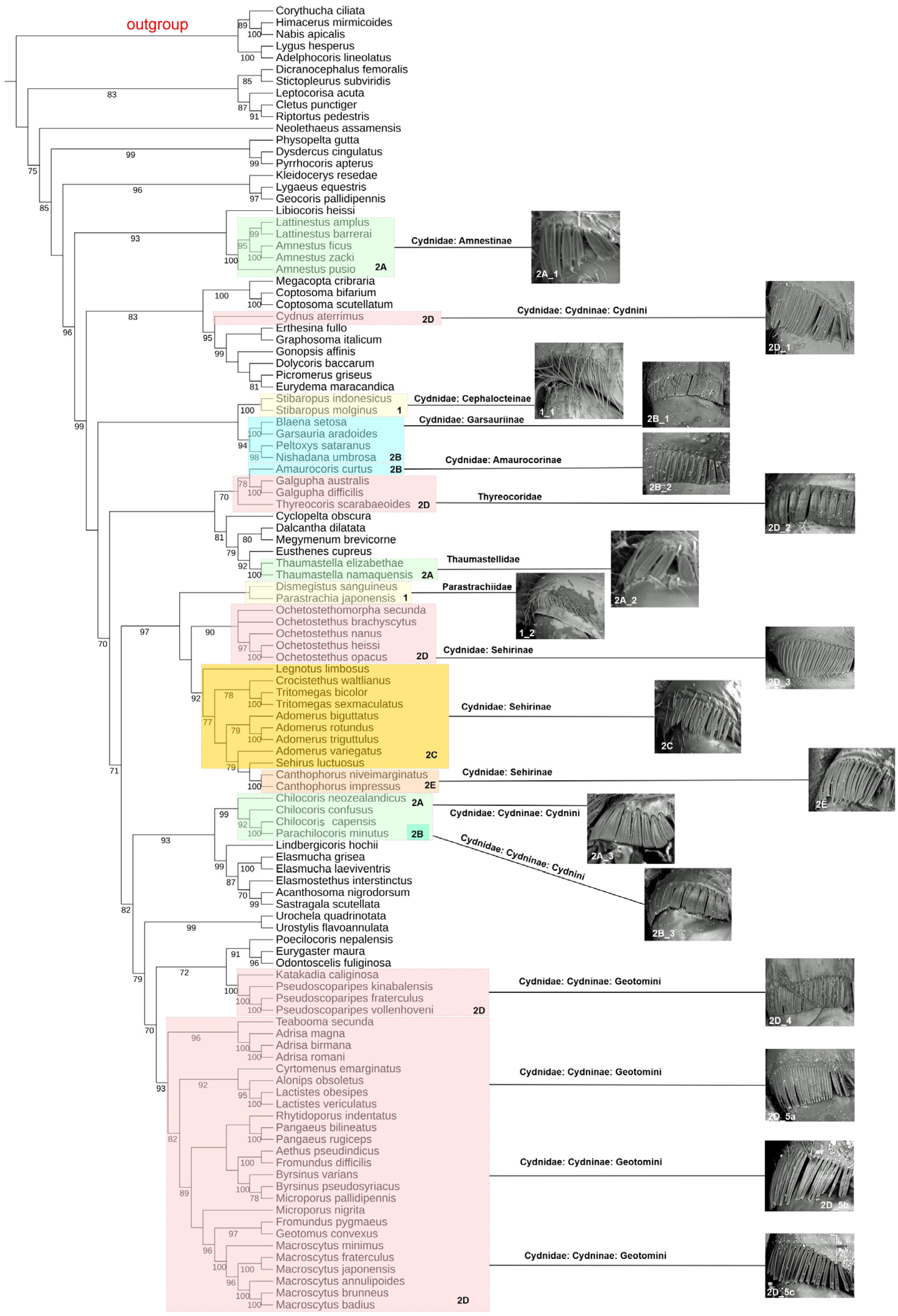 Insects 15 00792 g002