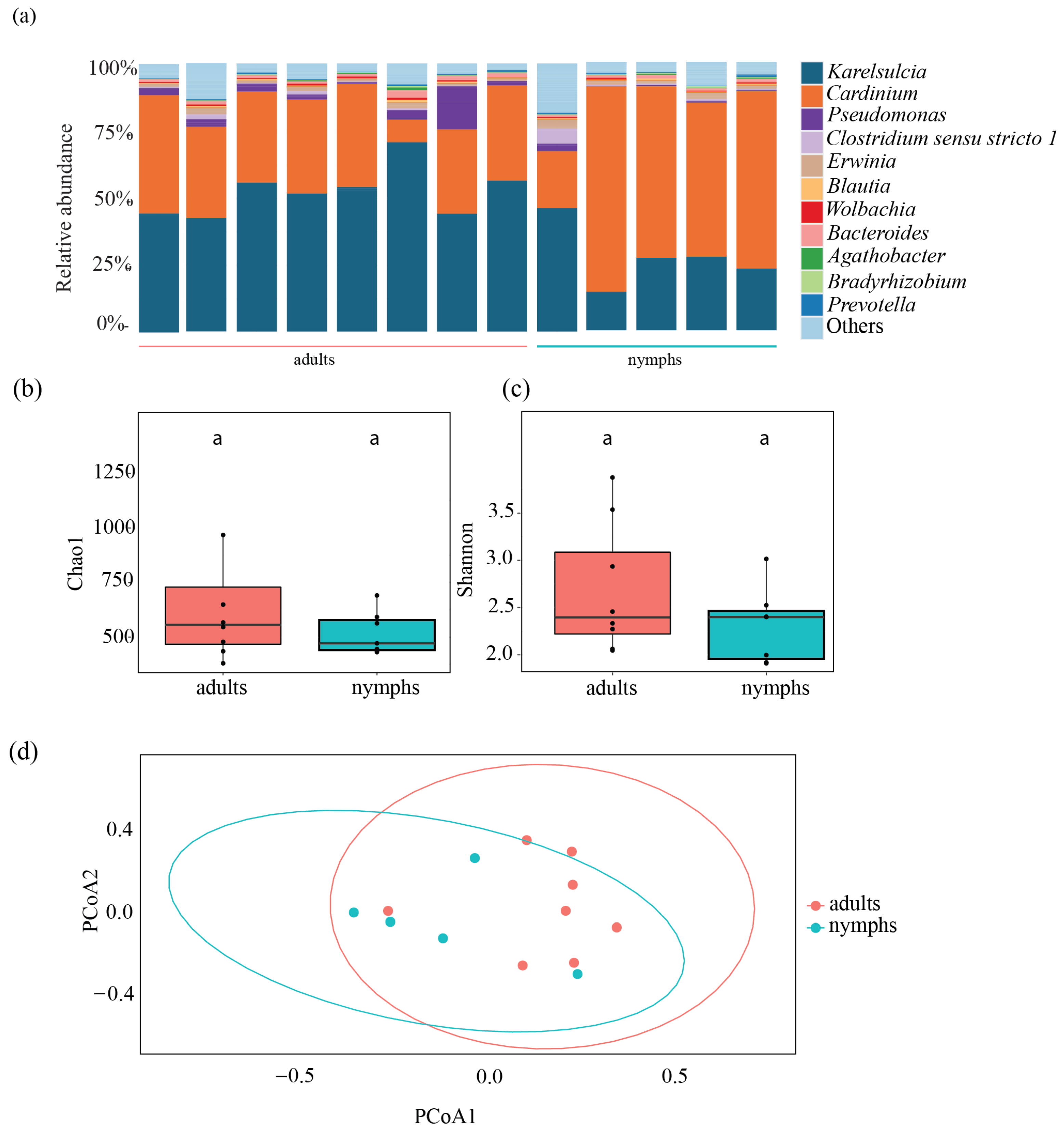 Insects 15 00830 g003