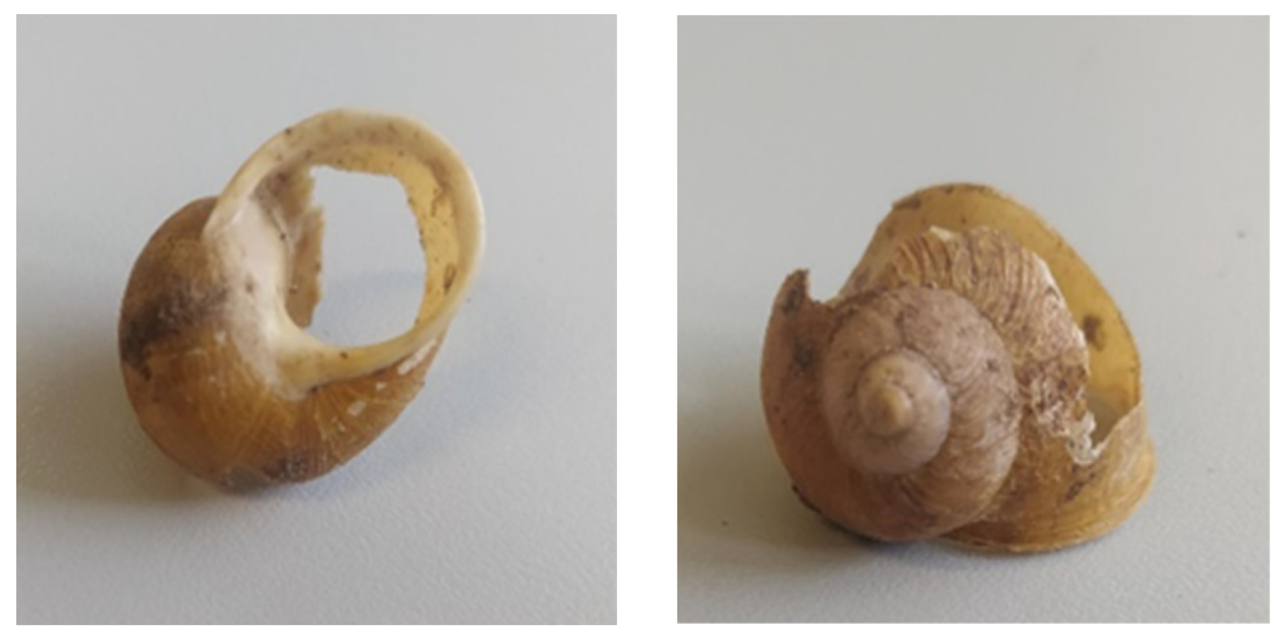 Insects 15 00865 g005